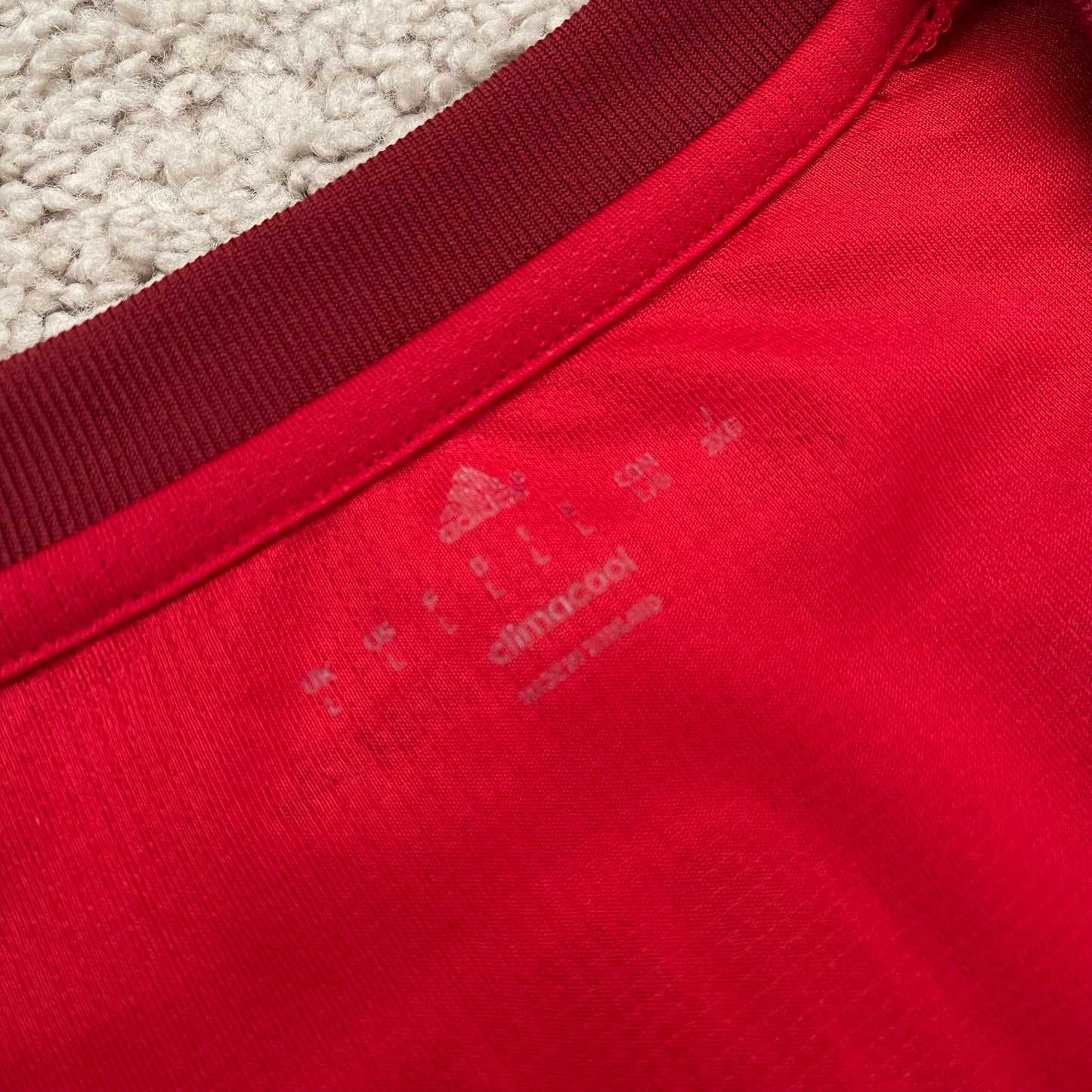 Bayern Munich 2015/16 home x Arjen Robben #10 (L)
