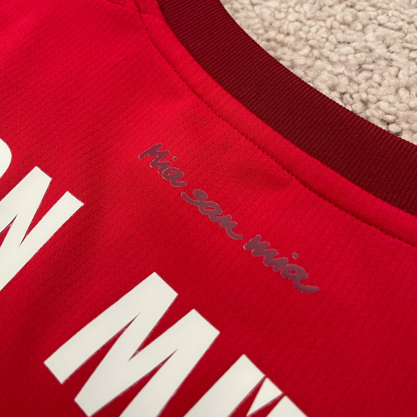 Bayern Munich 2015/16 home x Arjen Robben #10 (L)