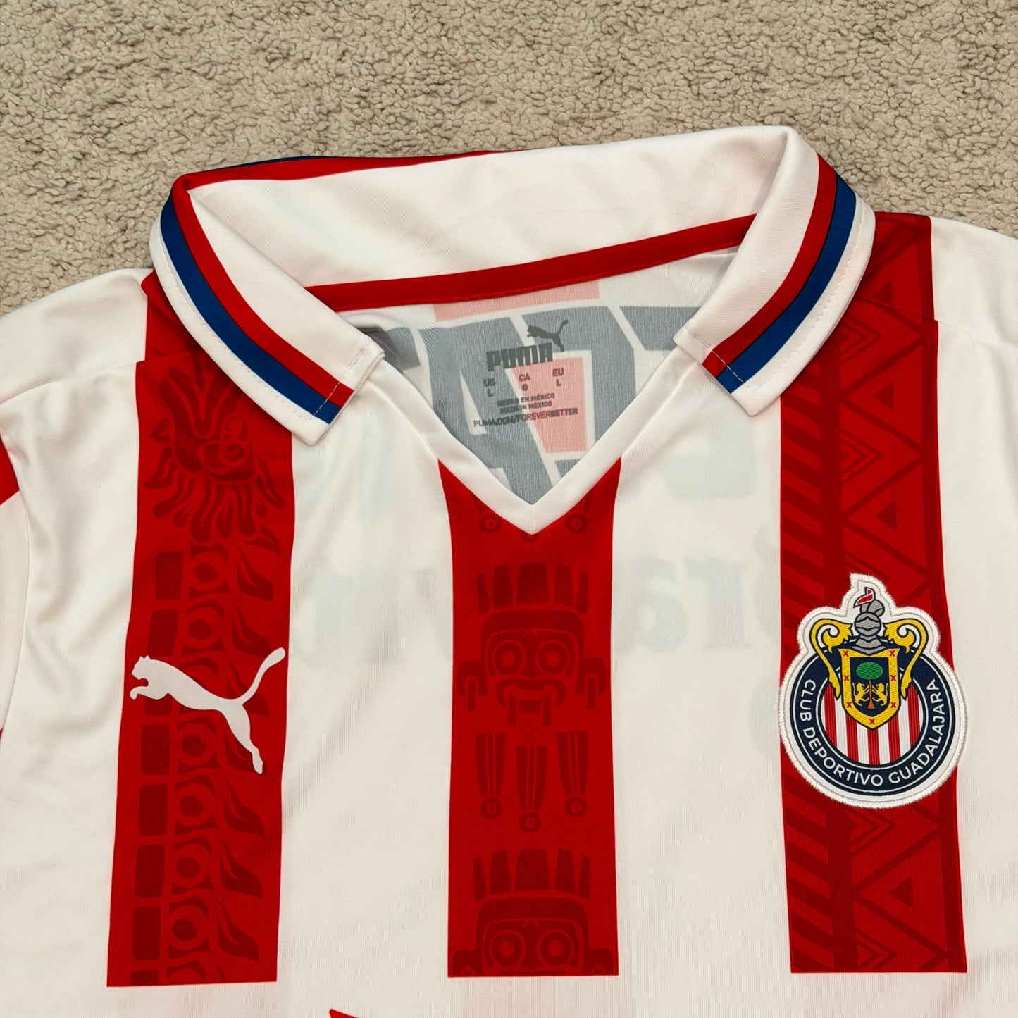 Chivas de Guadalajara 2020/21 home (L)