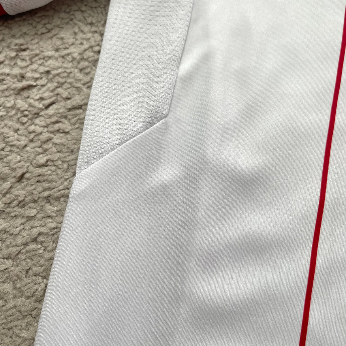 Chivas de Guadalajara 2018/19 away x Alan Pulido #9 (L)