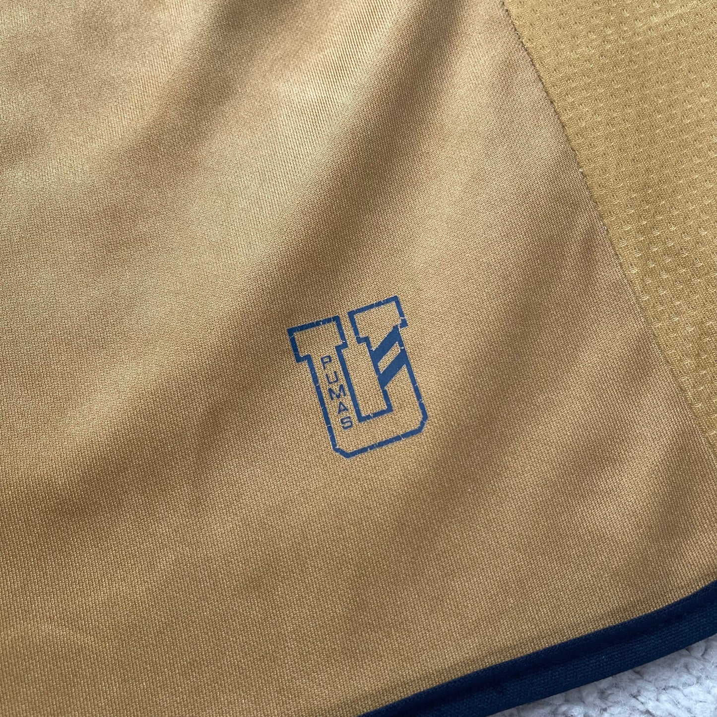Pumas UNAM 2012/13 home (M)