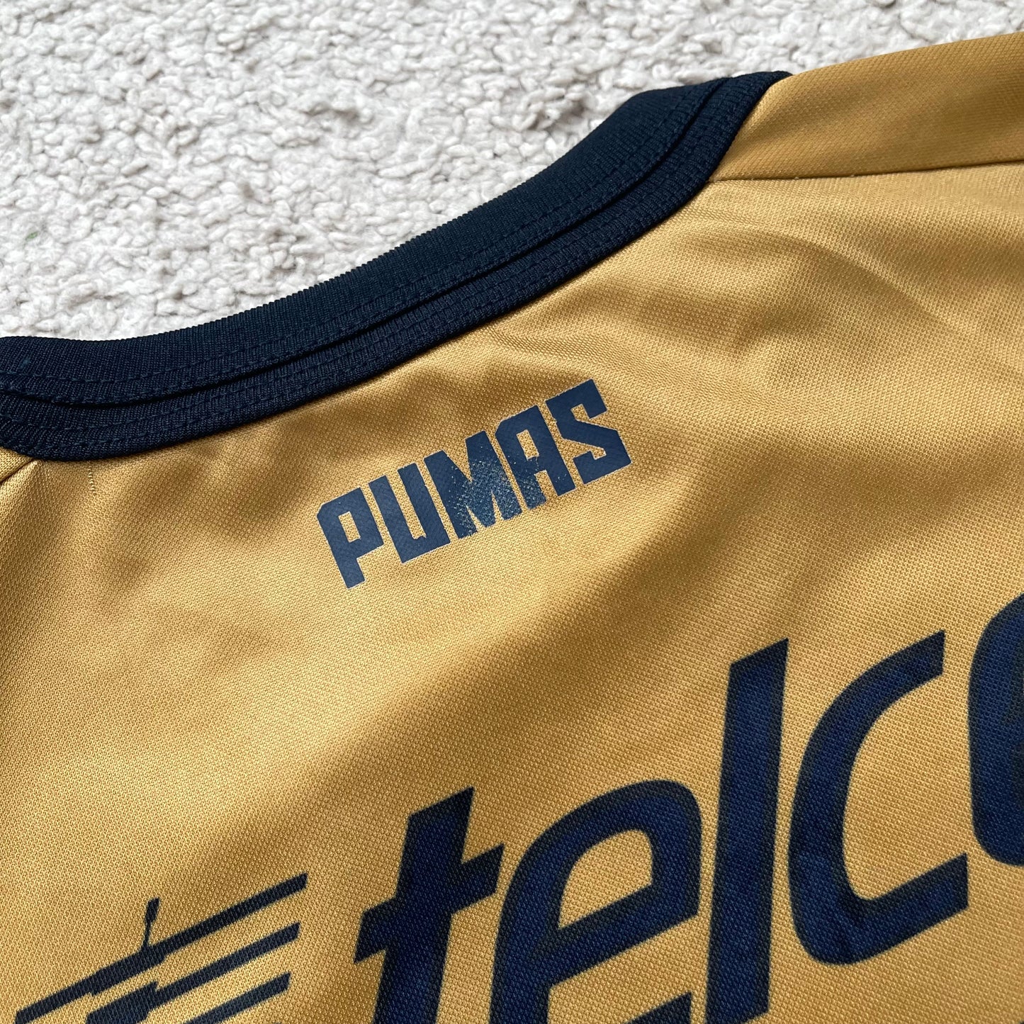 Pumas UNAM 2012/13 home (M)