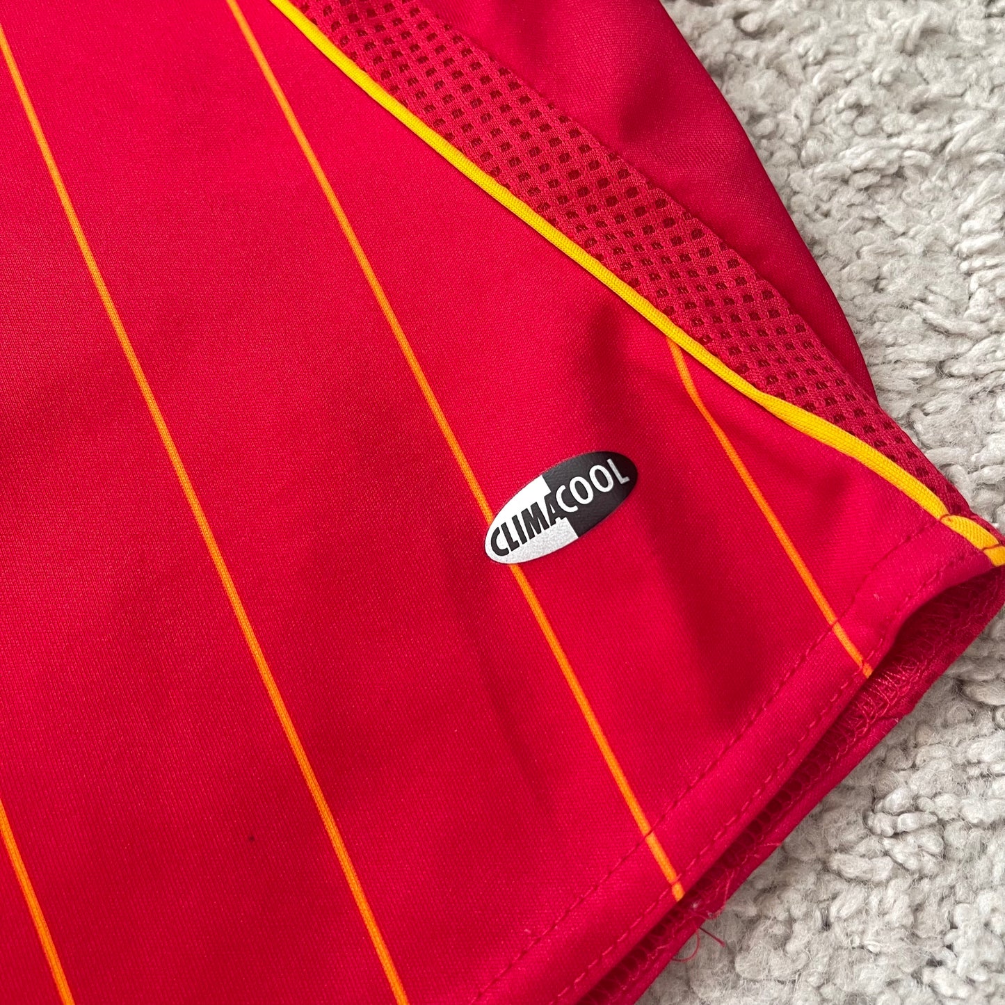 Spain 2006 World Cup home x Fernando 'El Niño' Torres #9 (M)
