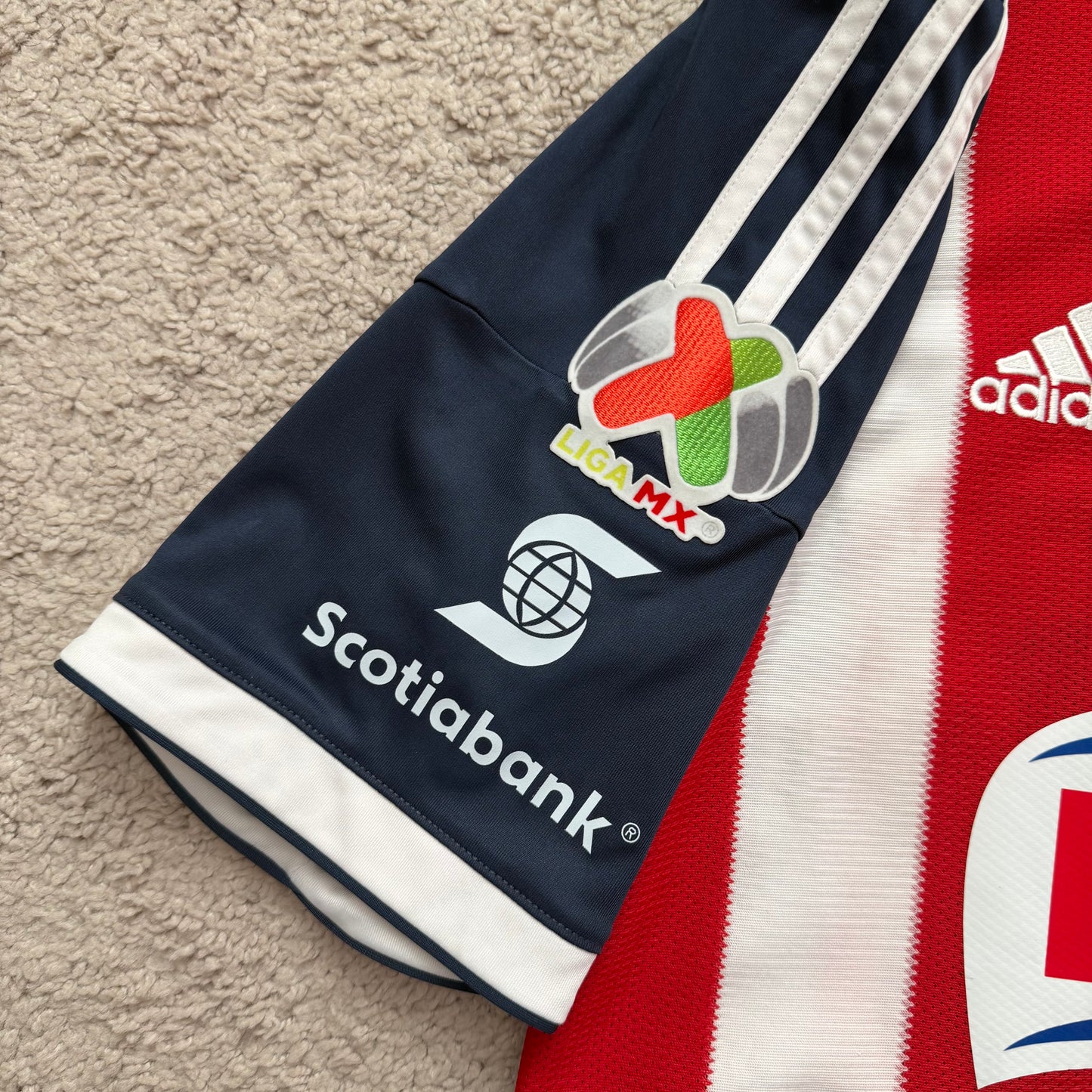 Chivas de Guadalajara 2013/14 home (M)