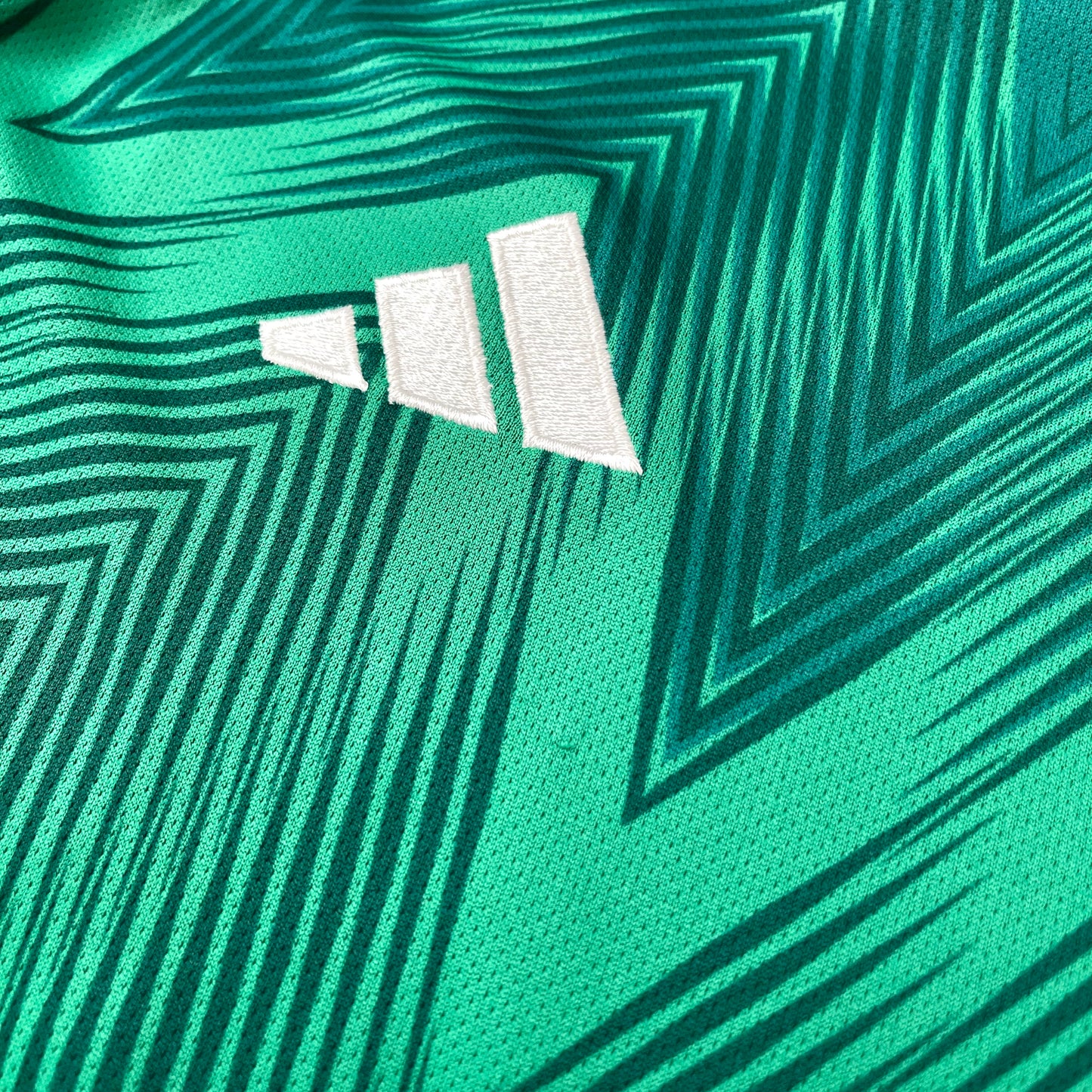 Mexico 2022 World Cup home LONG SLEEVES x Edson Alvarez #4 (L)