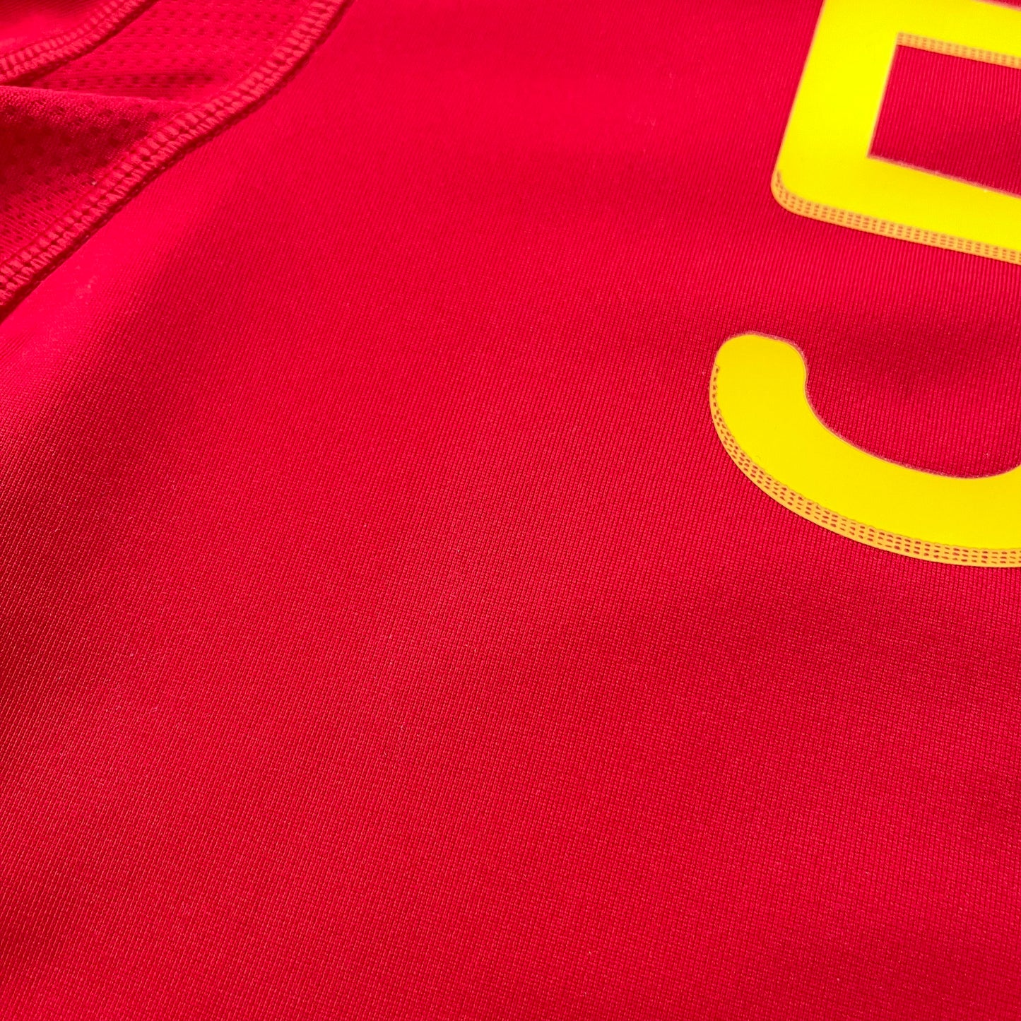 Spain 2010 World Cup home x Carles Puyol #5 (XL)