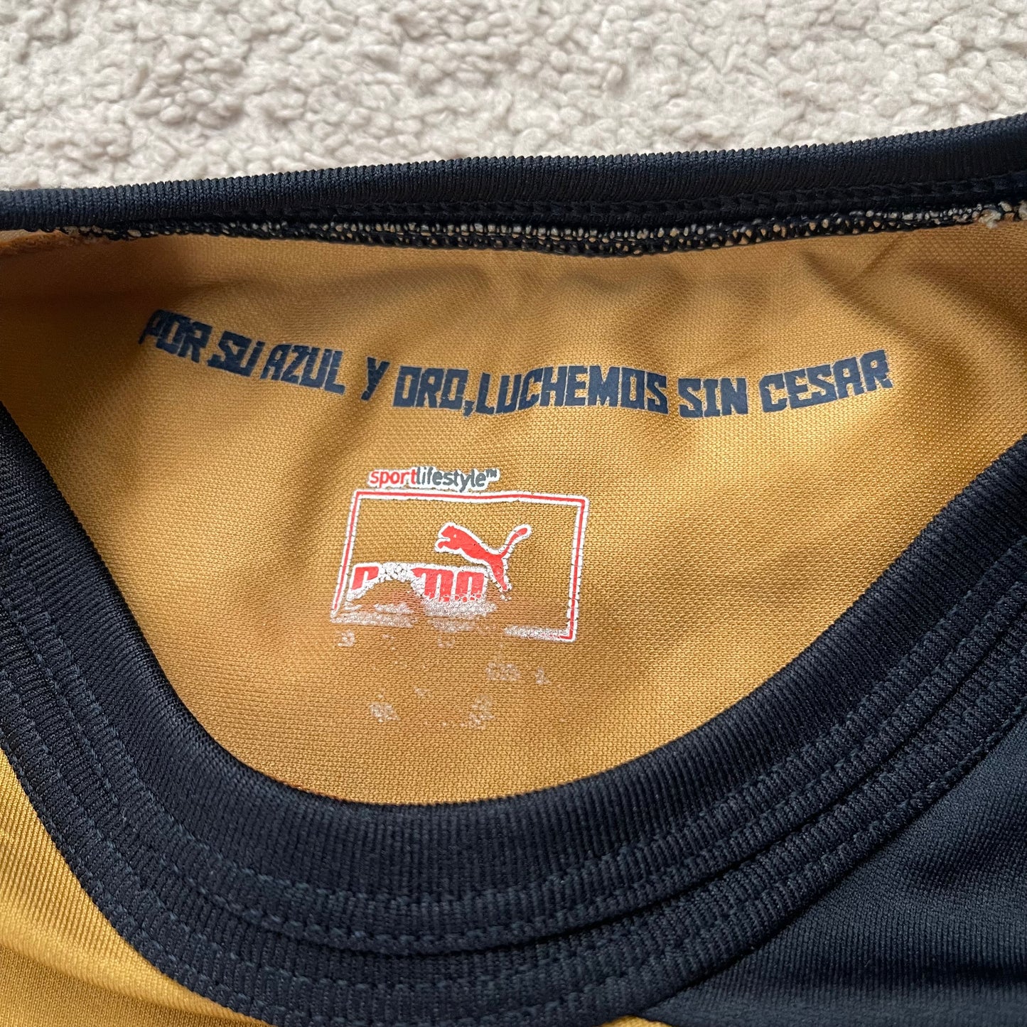 Pumas UNAM 2012/13 home (M)