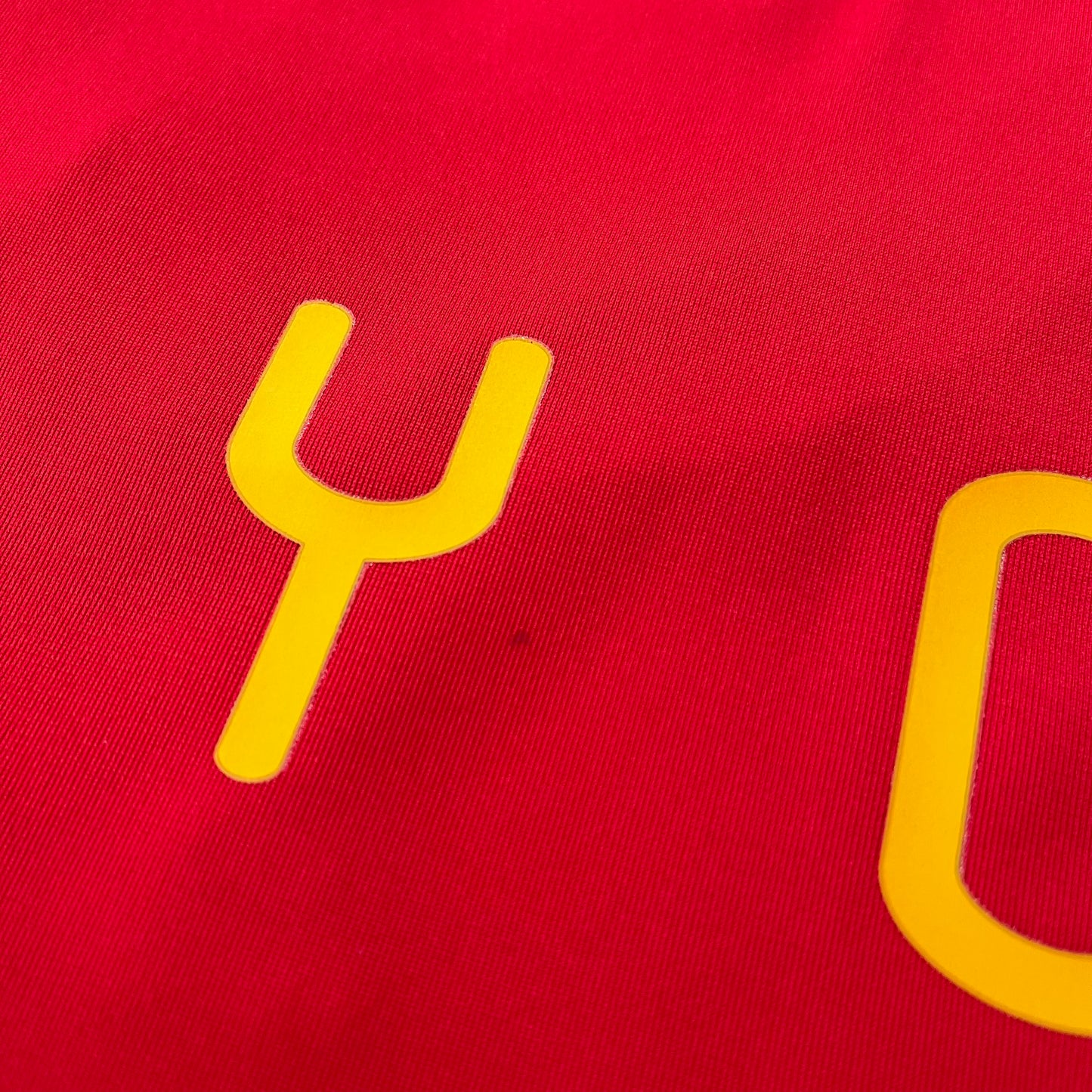 Spain 2010 World Cup home x Carles Puyol #5 (XL)