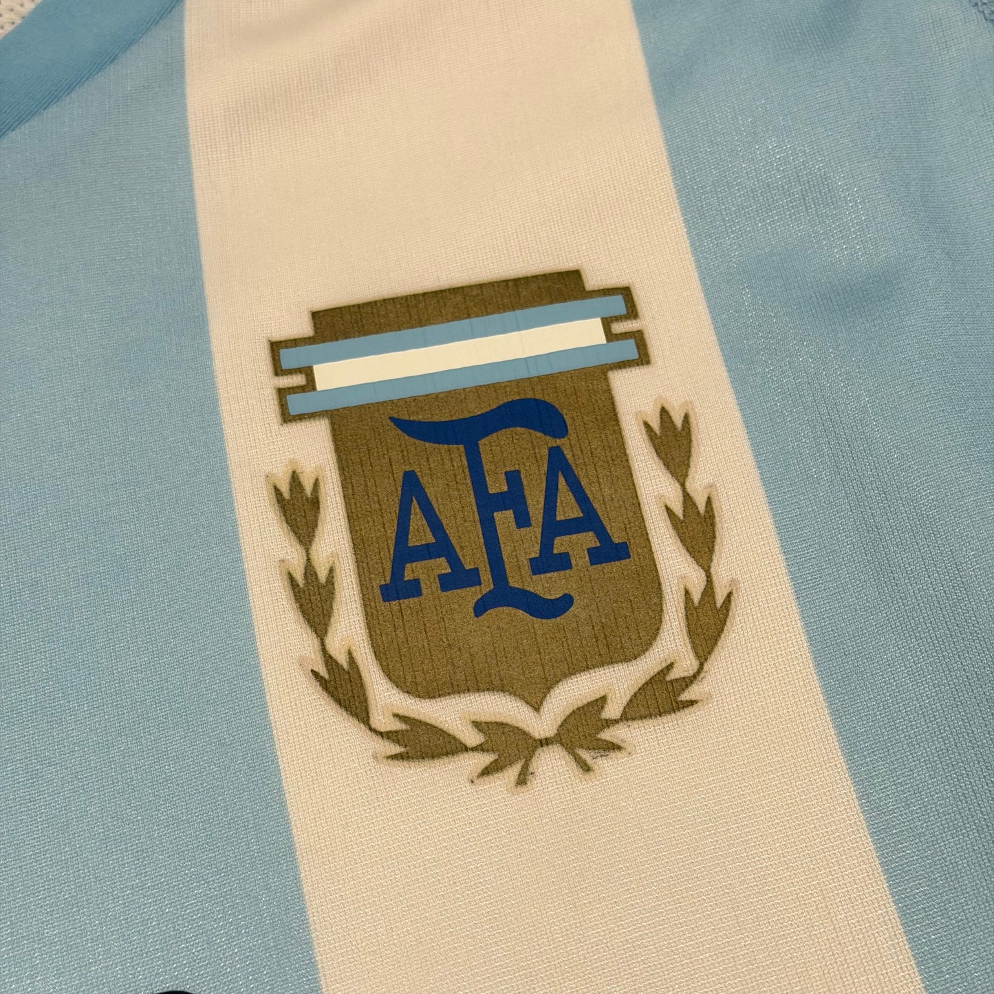 Argentina 2002 World Cup home PLAYER VERSION x Gabriel Batistuta #9 (M)