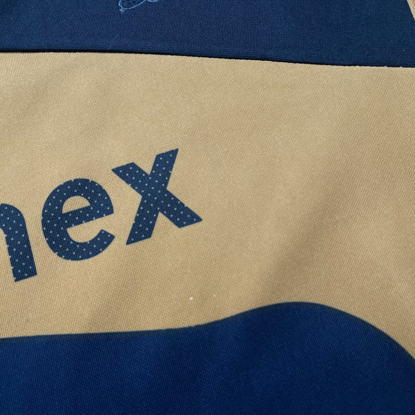 Pumas UNAM 2012/13 home (M)