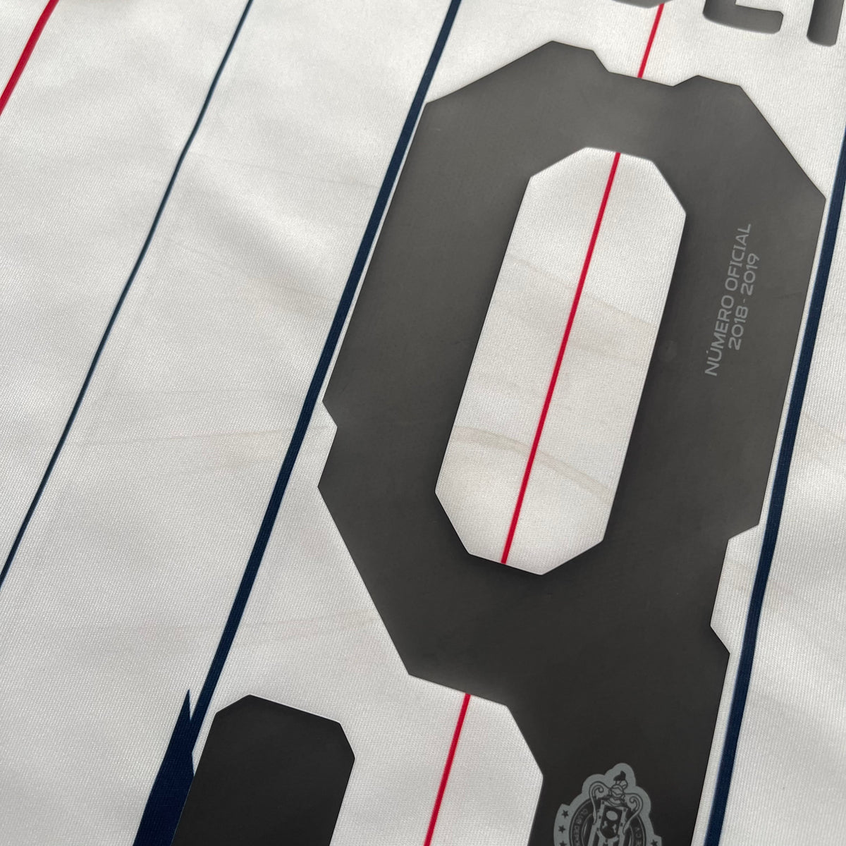 Chivas de Guadalajara 2018/19 away x Alan Pulido #9 (L)