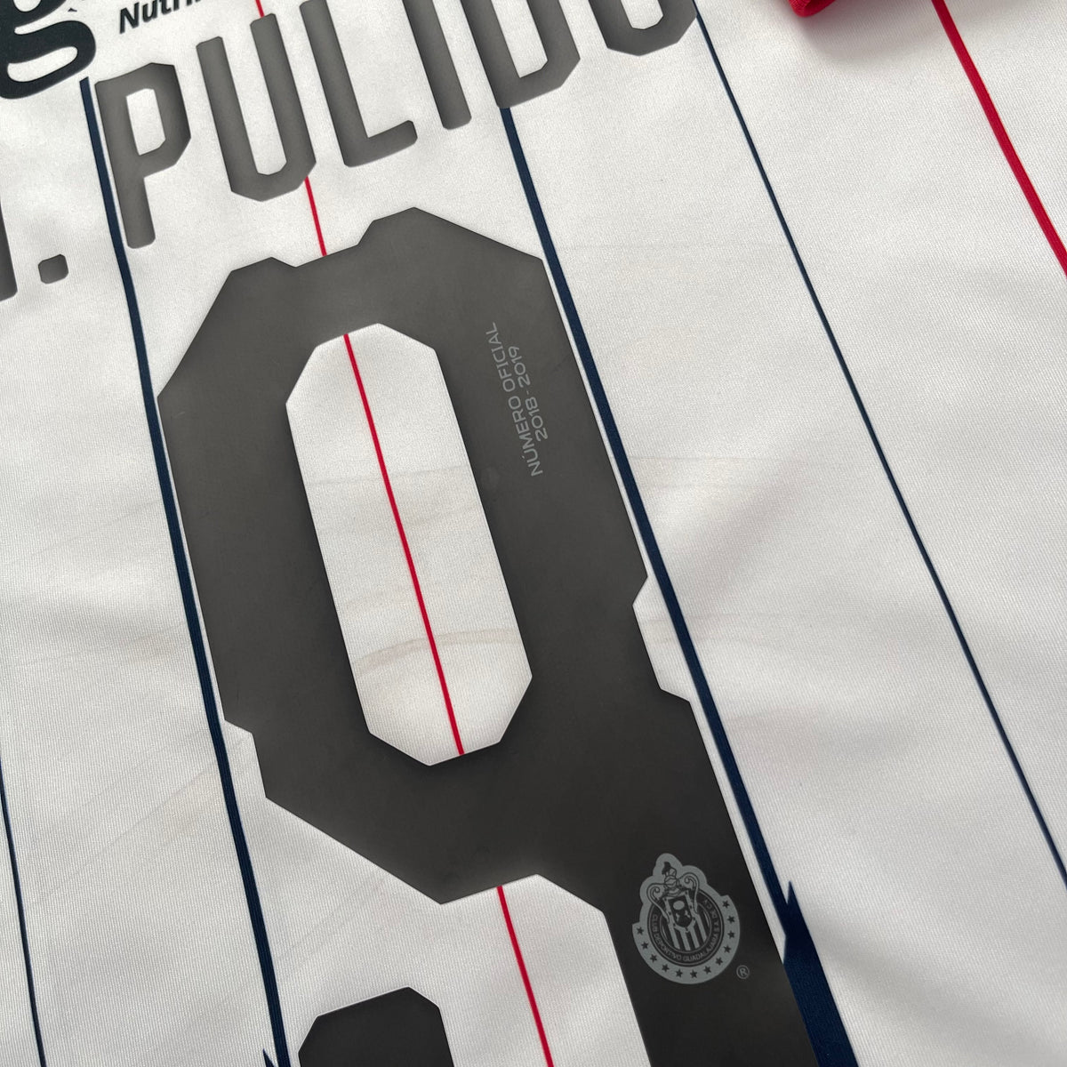 Chivas de Guadalajara 2018/19 away x Alan Pulido #9 (L)