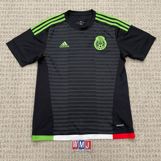 Mexico 2015 Copa America home (M)