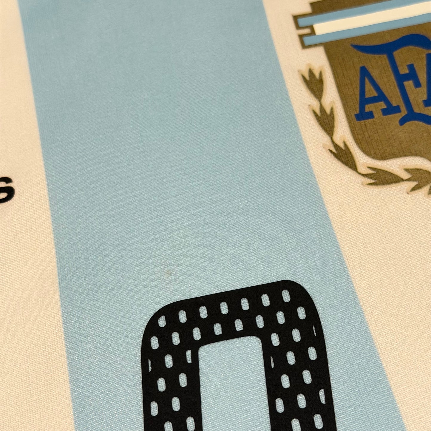 Argentina 2002 World Cup home PLAYER VERSION x Gabriel Batistuta #9 (M)