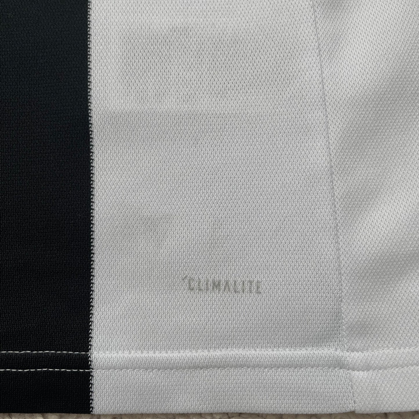 Juventus 2018/19 home x Cristiano Ronaldo #7 (L)