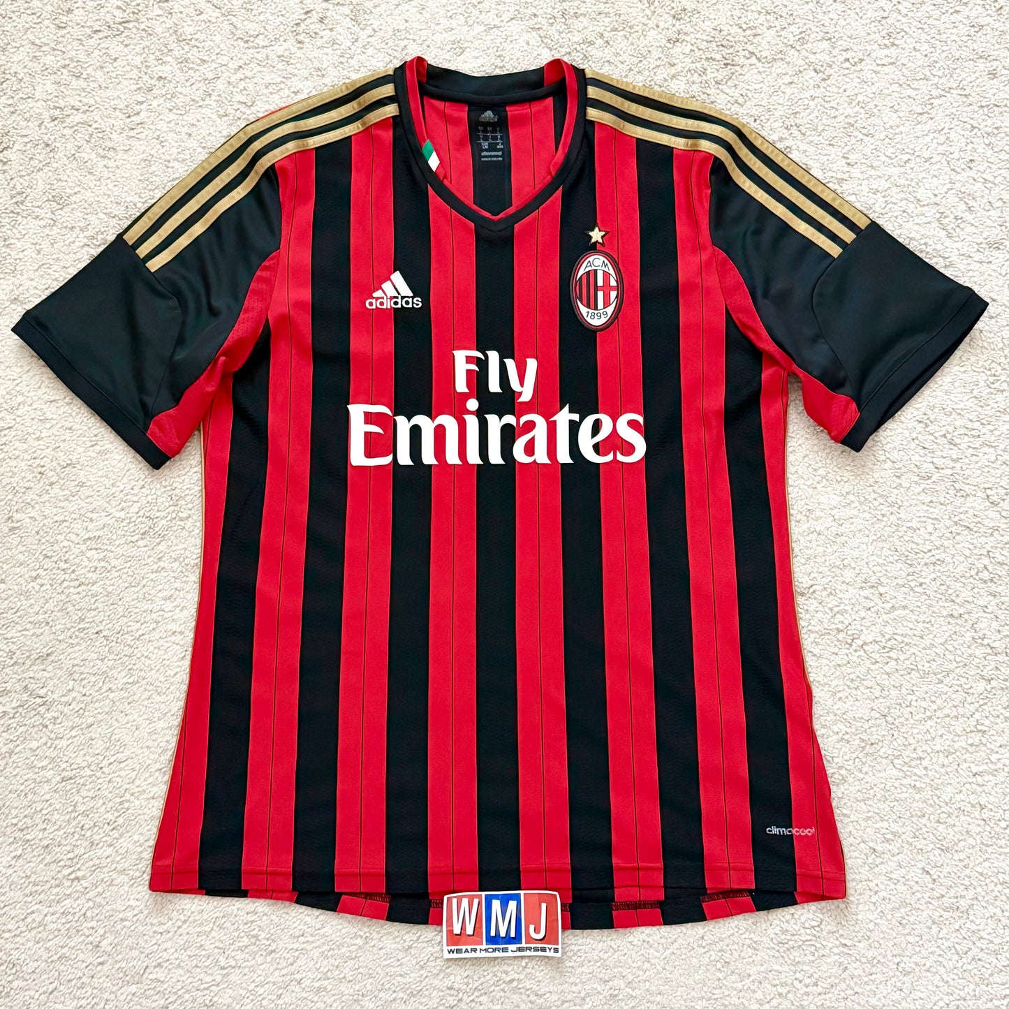 AC Milan 2013/14 home x Kaka' #22 (L)