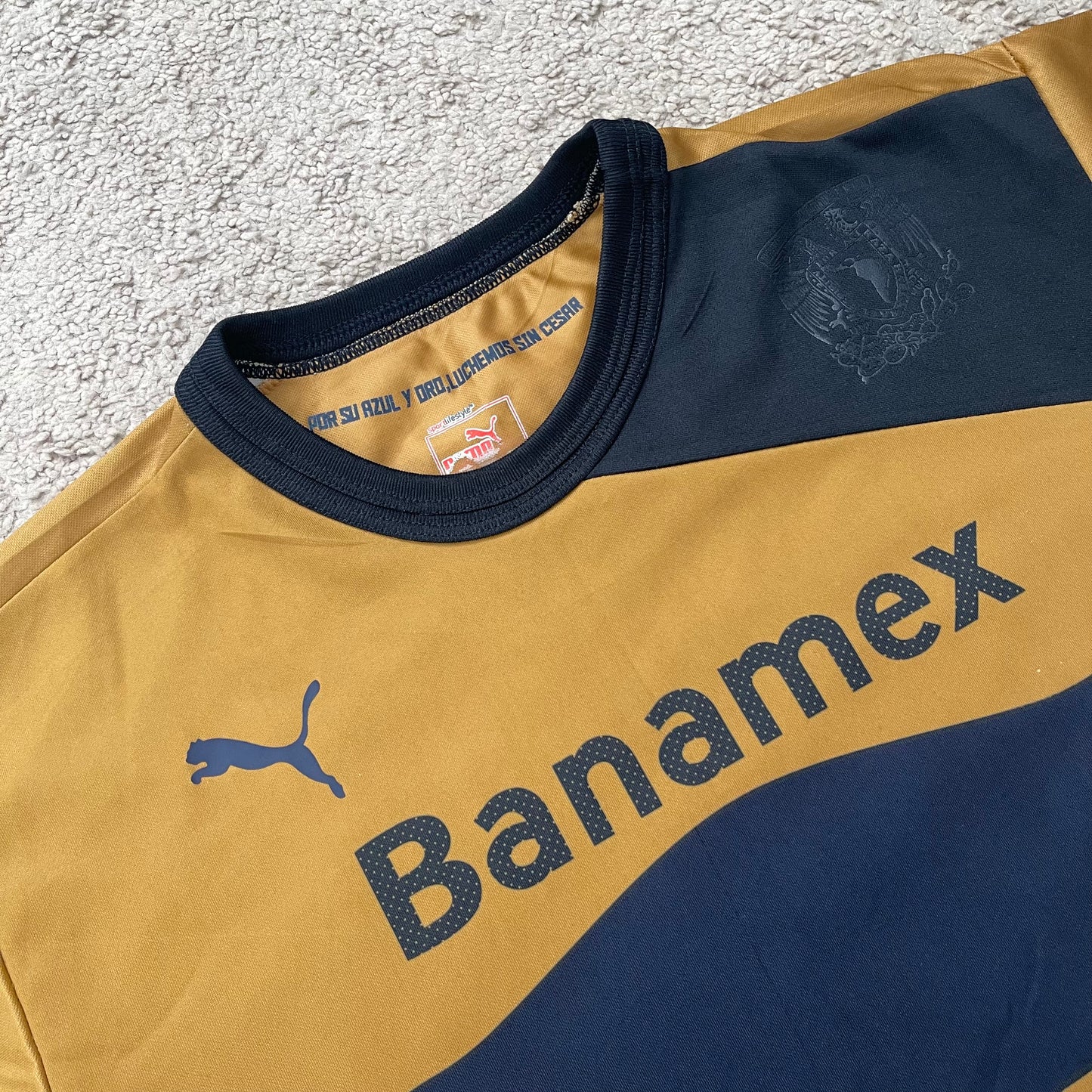 Pumas UNAM 2012/13 home (M)