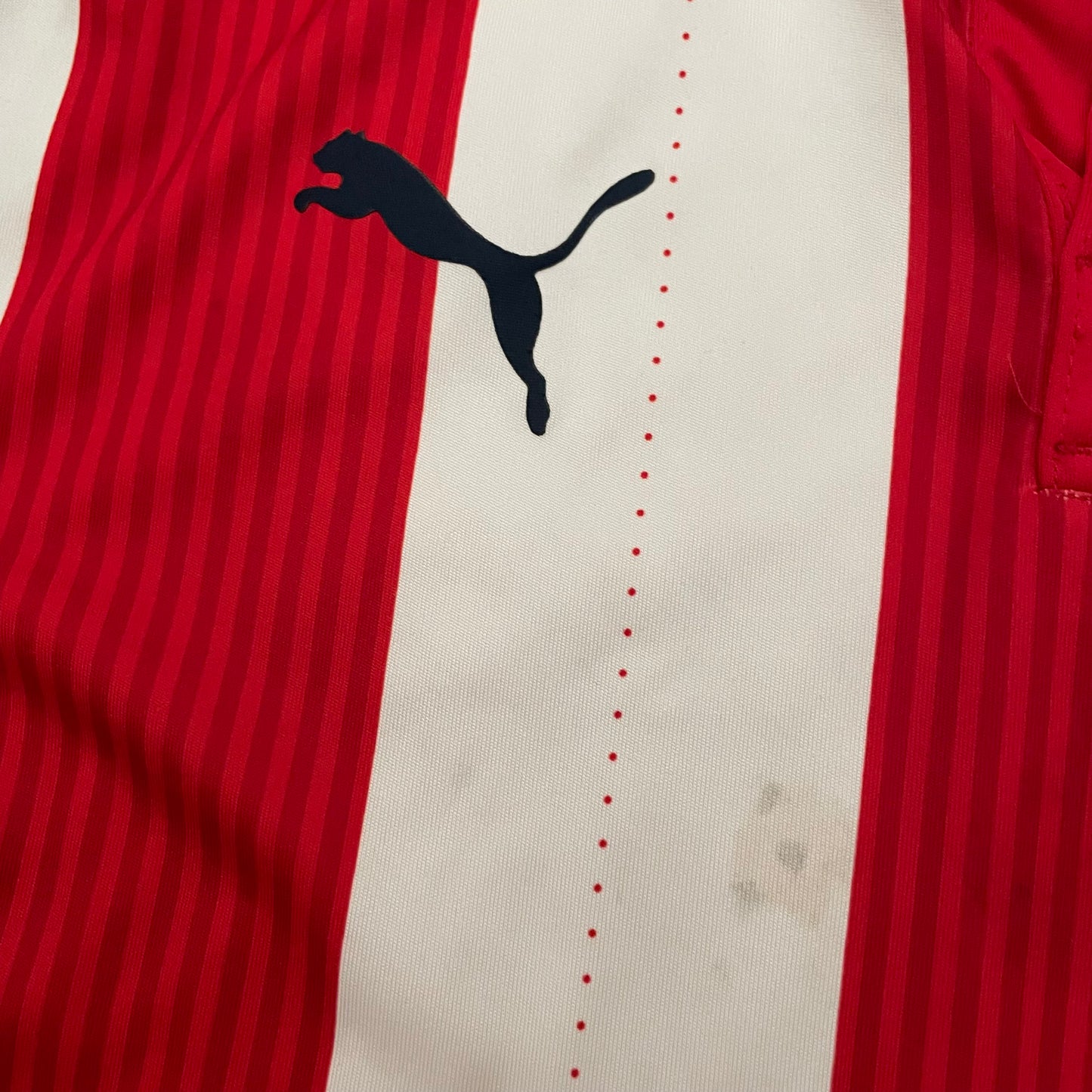 Chivas 2016/17 home (S)