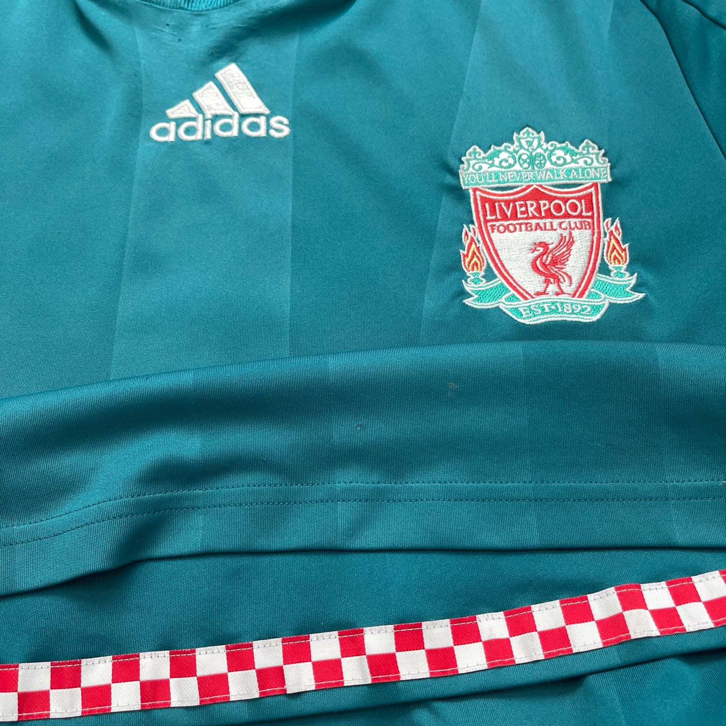 Liverpool 2008/09 third x Fernando 'El Niño' Torres #9 (M) *small hole on bottom corner