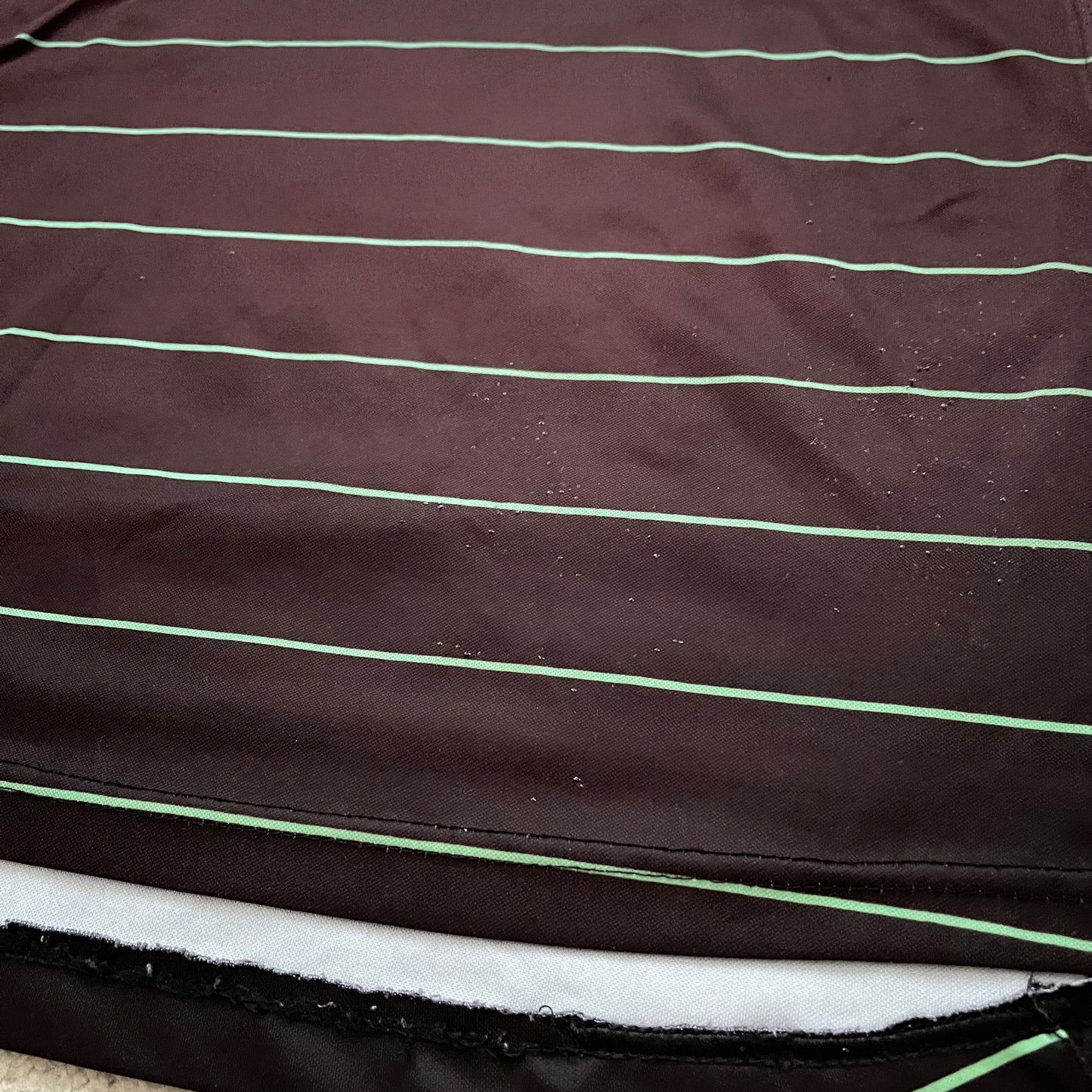 Santos Laguna 2010/11 third (L)