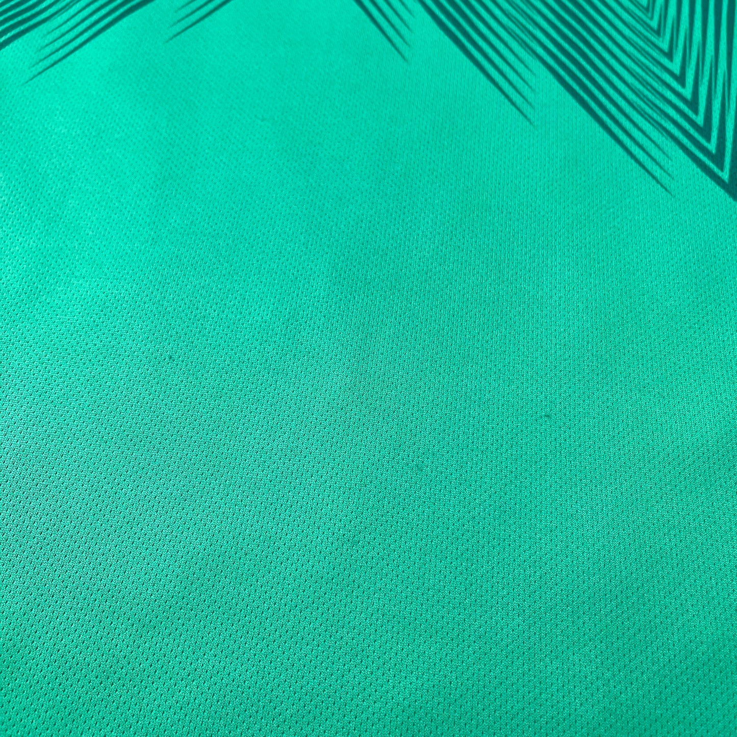 Mexico 2022 World Cup home LONG SLEEVES x Edson Alvarez #4 (L)