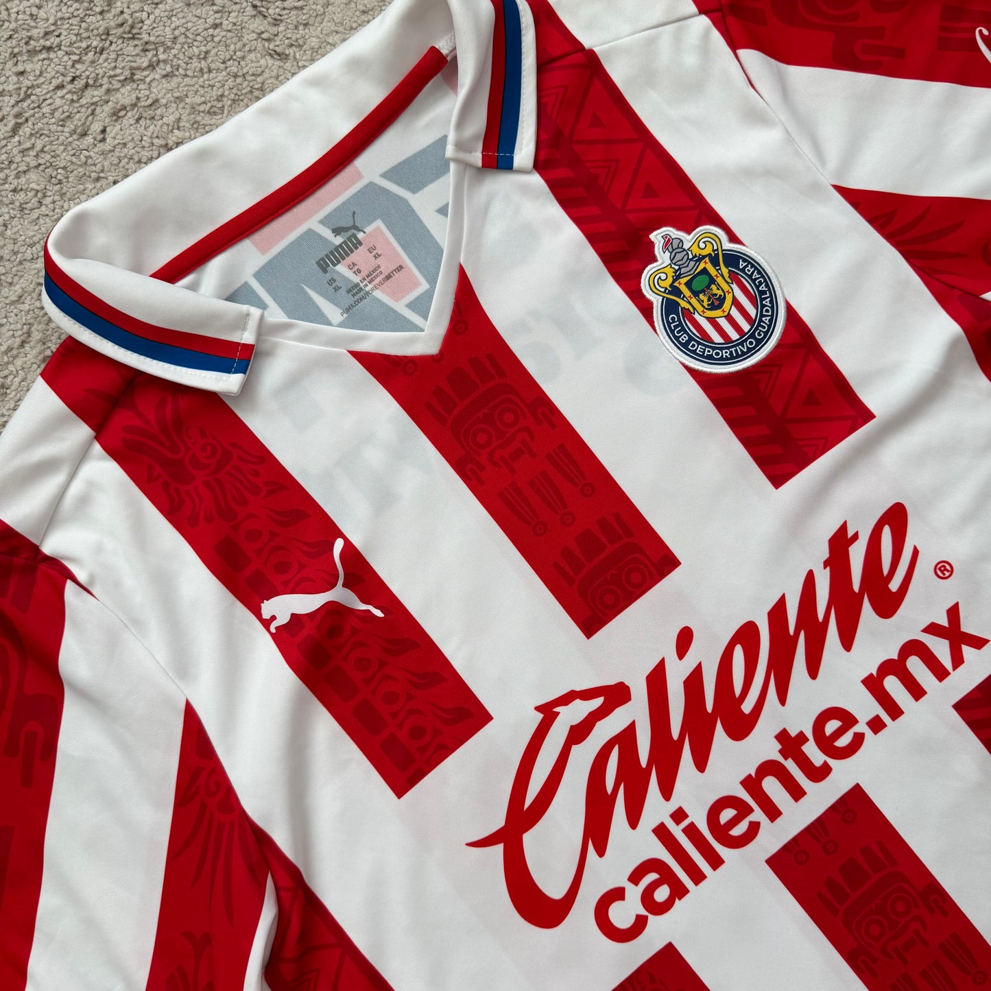 Chivas 2020/21 home (XL)