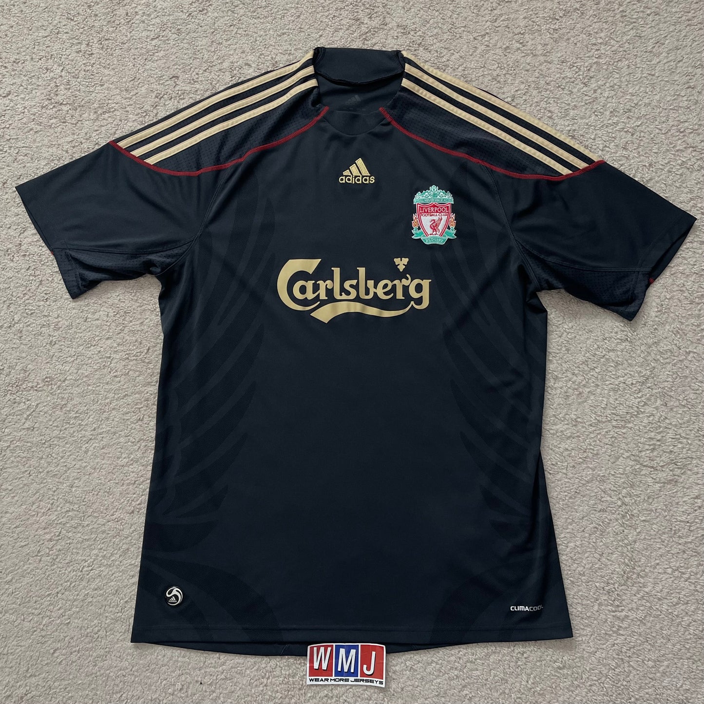 Liverpool 2009/10 away x Fernando 'El Niño' Torres #9 (L)