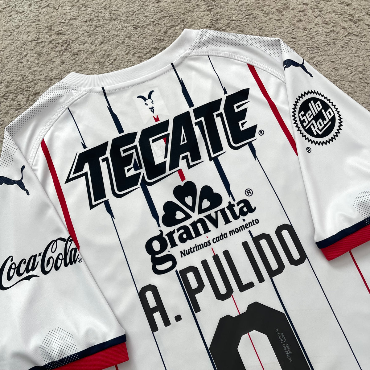 Chivas de Guadalajara 2018/19 away x Alan Pulido #9 (L)