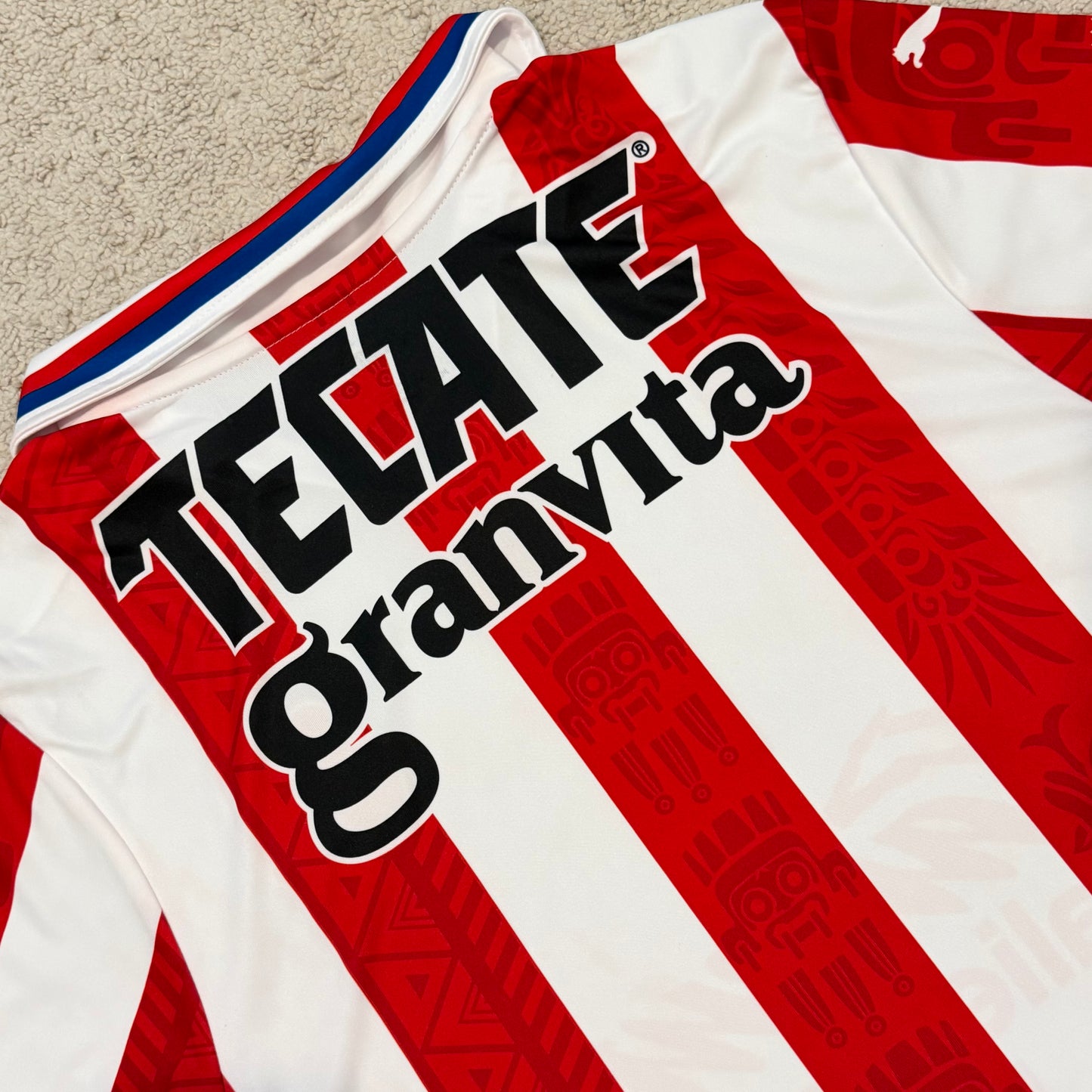 Chivas de Guadalajara 2020/21 home (L)