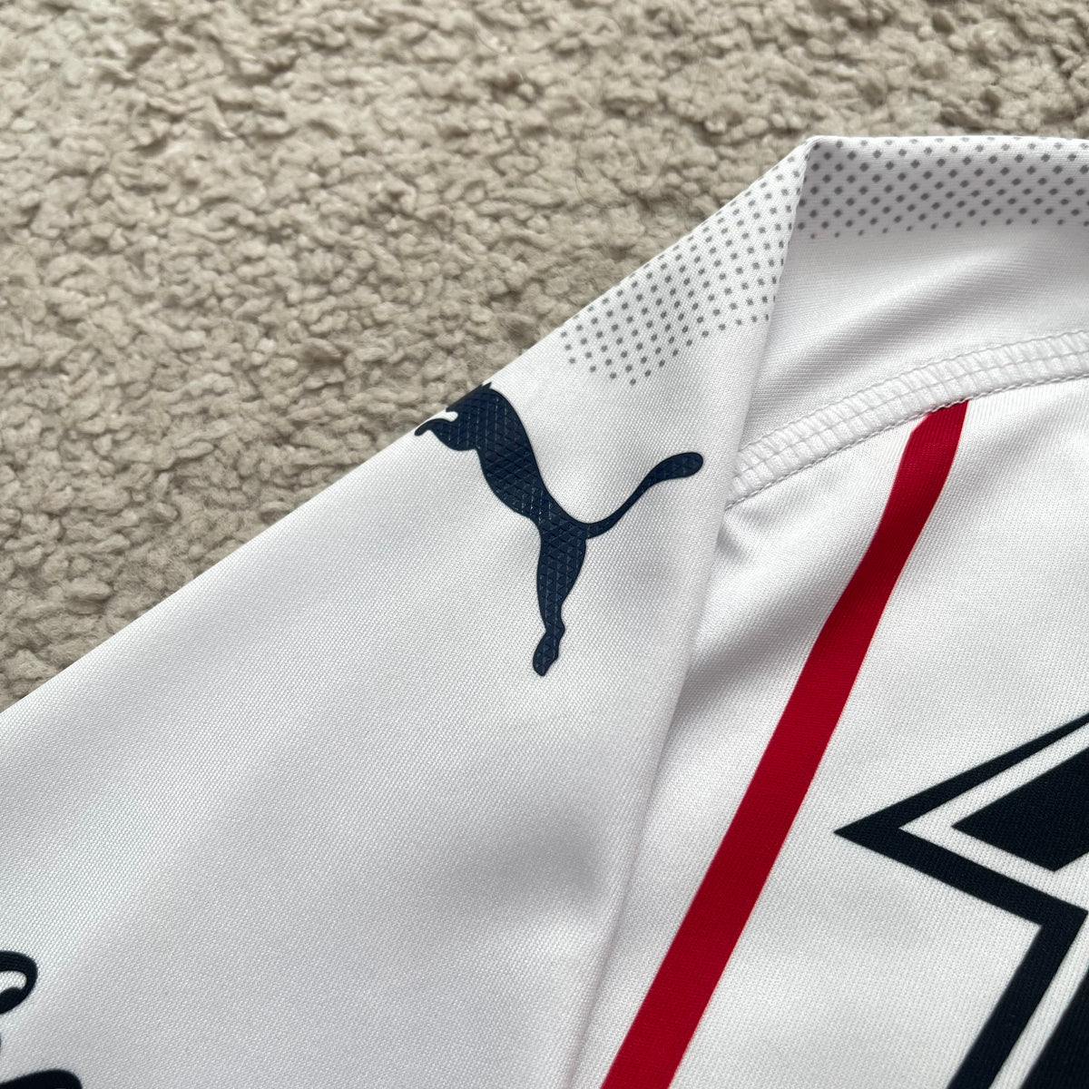Chivas de Guadalajara 2018/19 away x Alan Pulido #9 (L)