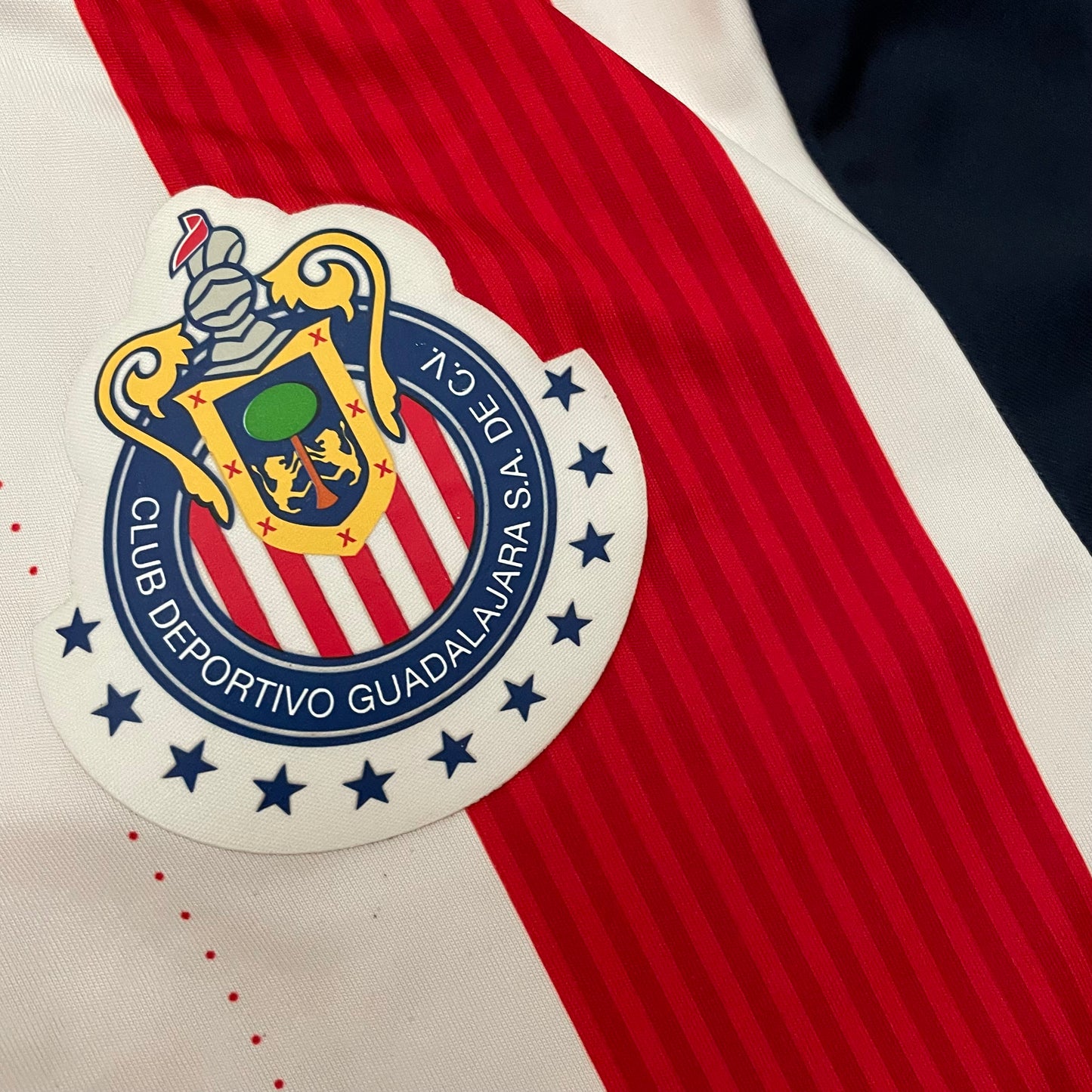 Chivas 2016/17 home (S)