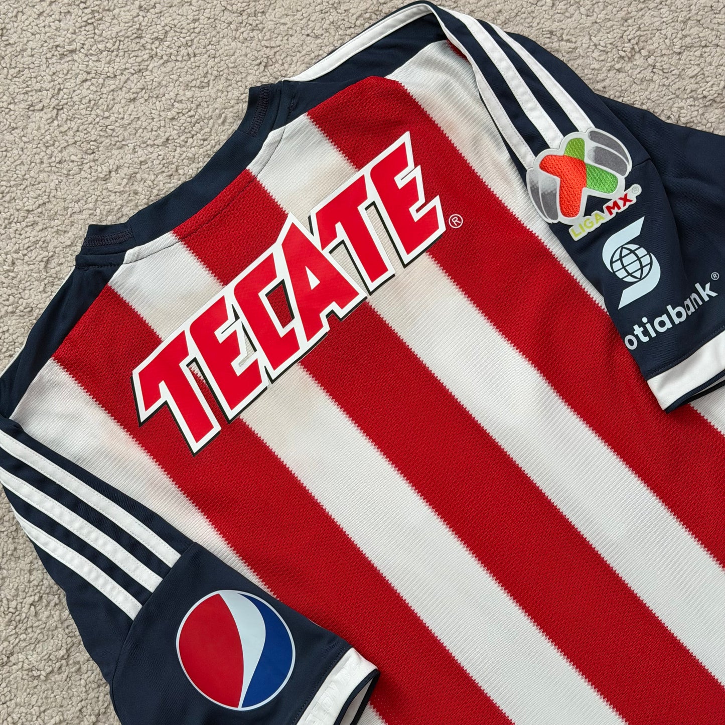 Chivas de Guadalajara 2013/14 home (M)