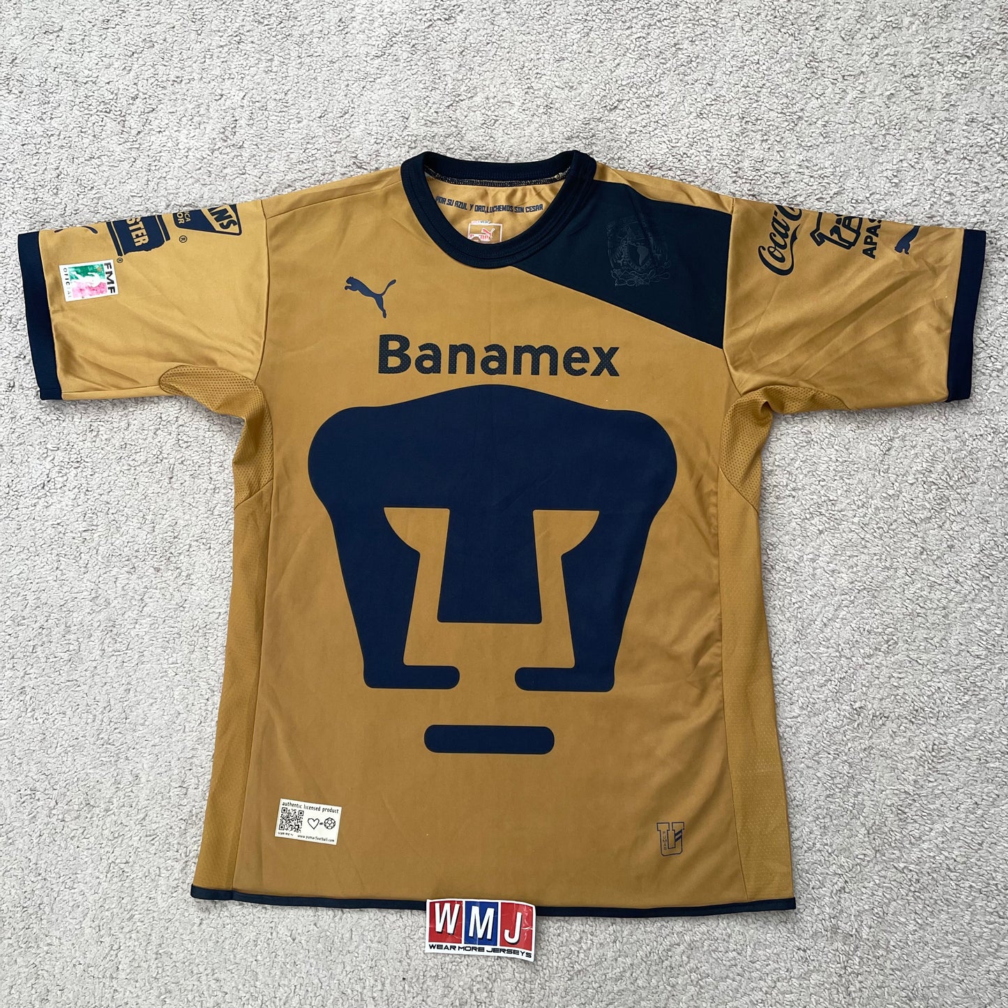 Pumas UNAM 2012/13 home (M)