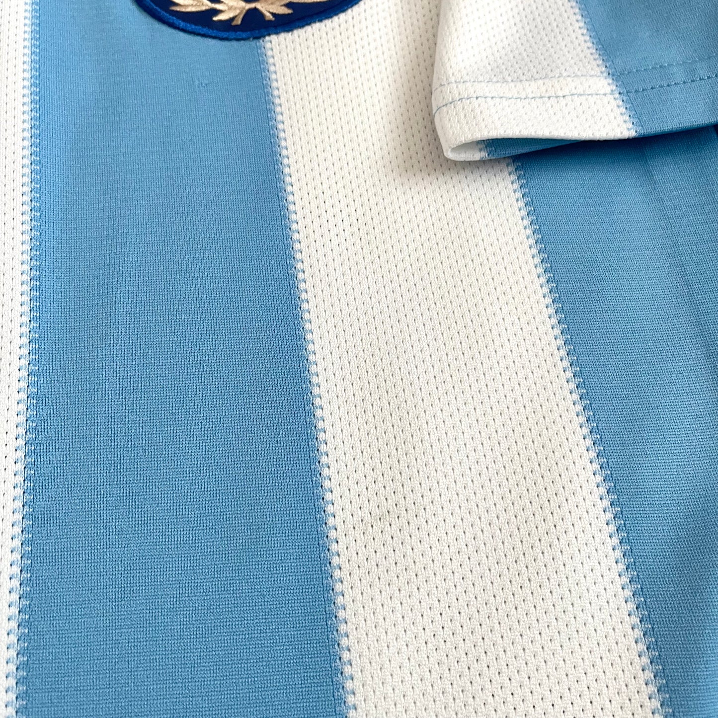 Argentina 2010 World Cup home x Messi #10 (M)