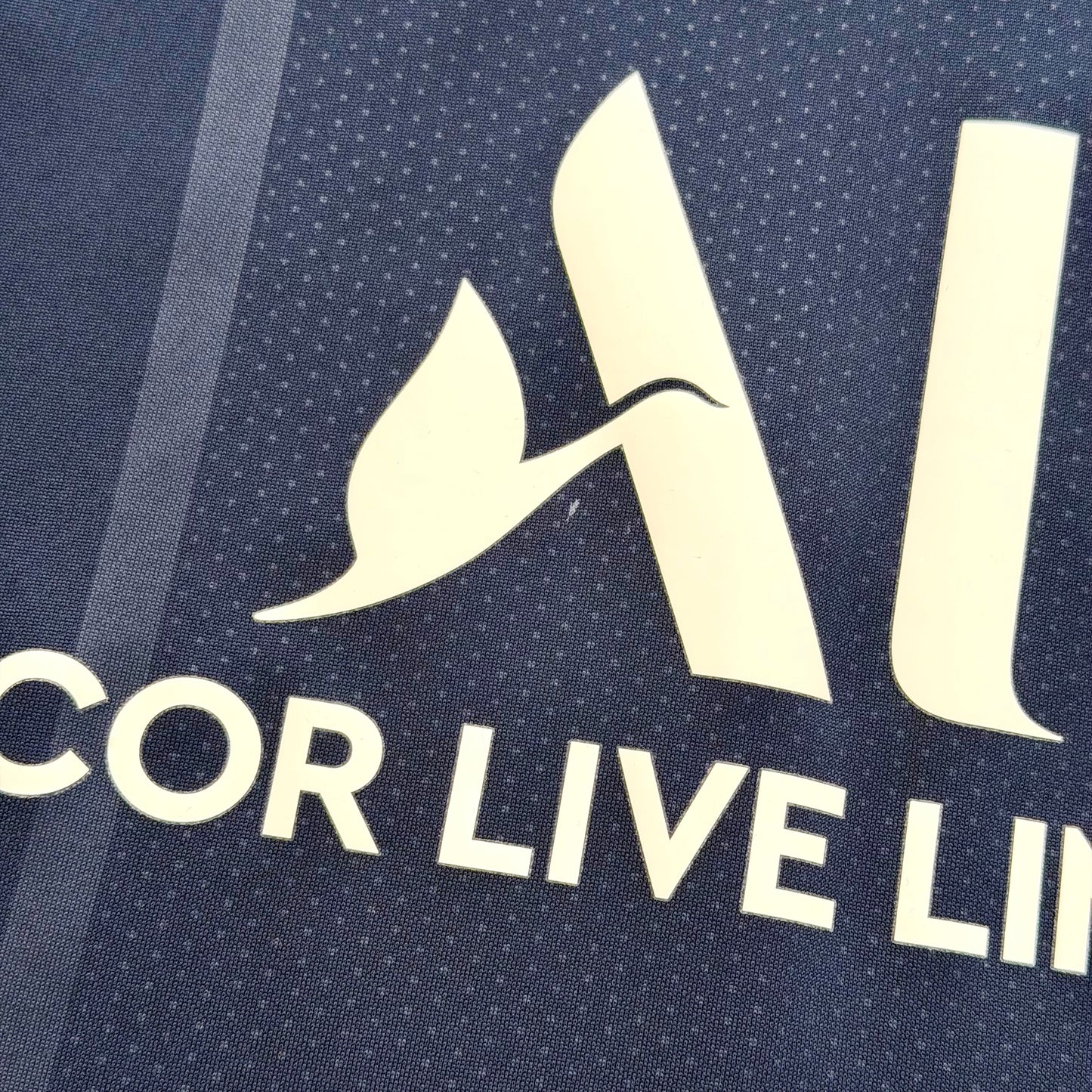 PSG 2021/22 home x Jordan x Messi #30 (M)