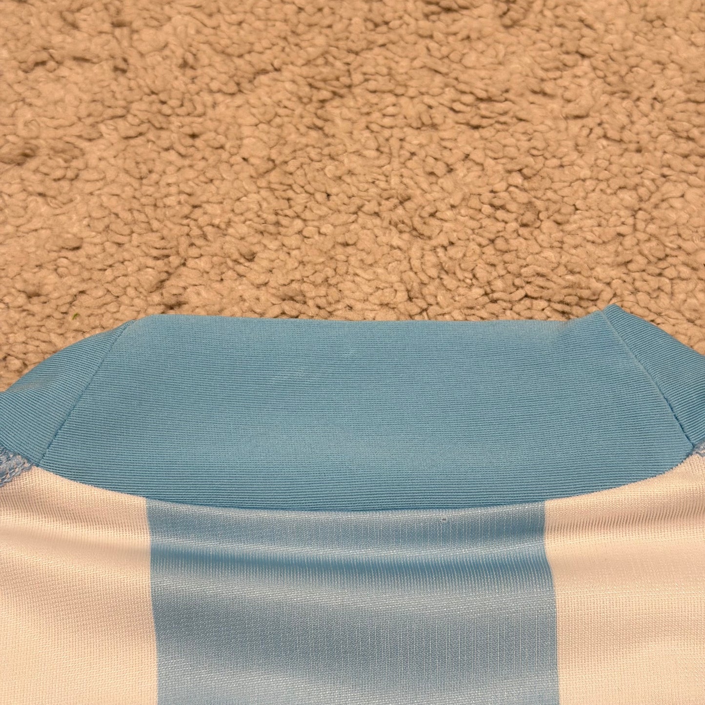 Argentina 2002 World Cup home PLAYER VERSION x Gabriel Batistuta #9 (M)