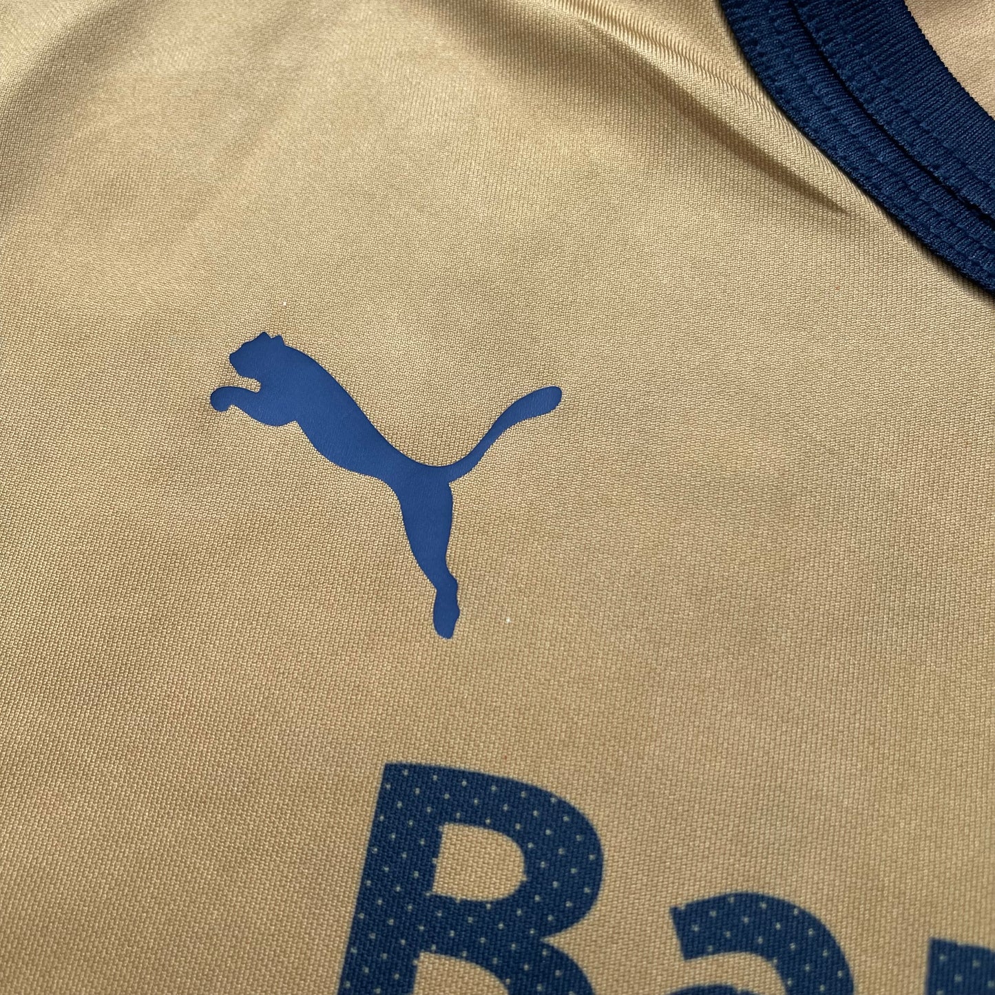 Pumas UNAM 2012/13 home (M)