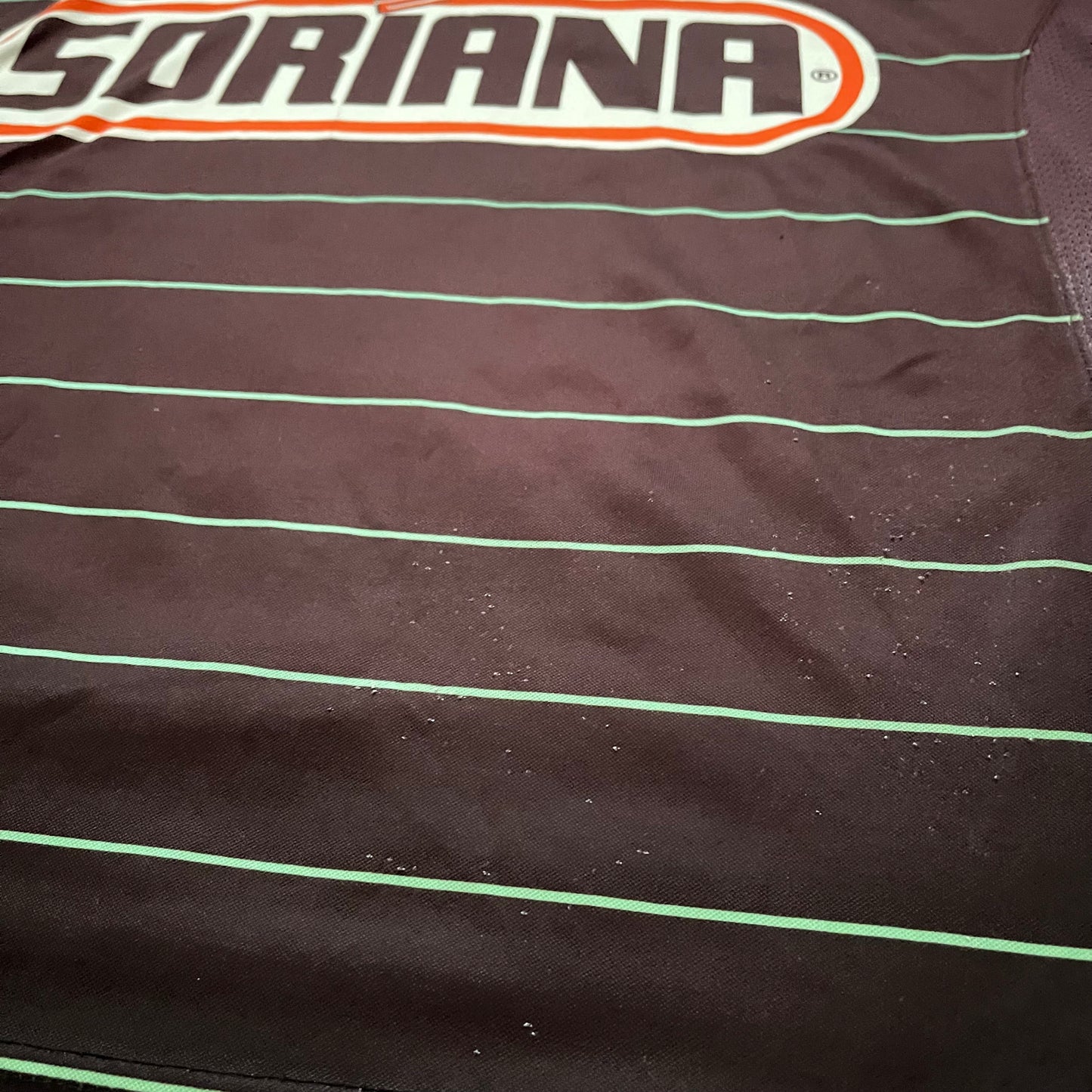 Santos Laguna 2010/11 third (L)