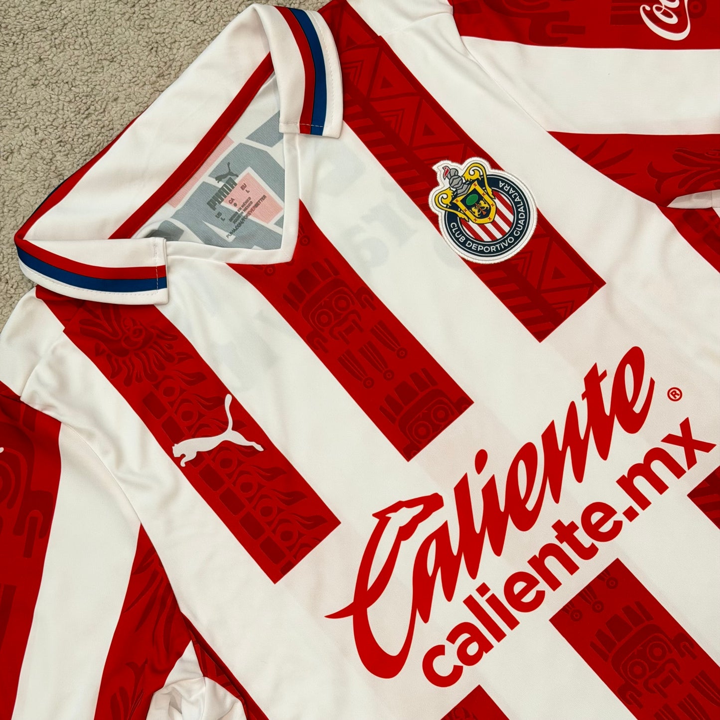 Chivas de Guadalajara 2020/21 home (L)