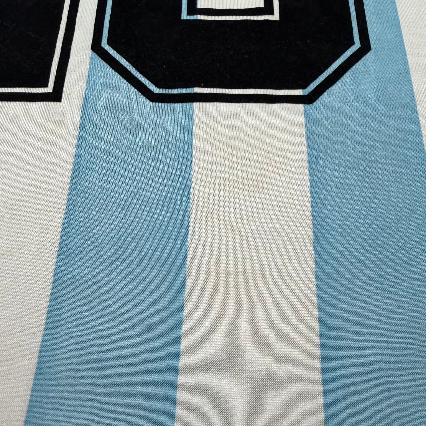 Argentina 1994 World Cup home LONG SLEEVES x Diego Armando Maradona #10 (L)