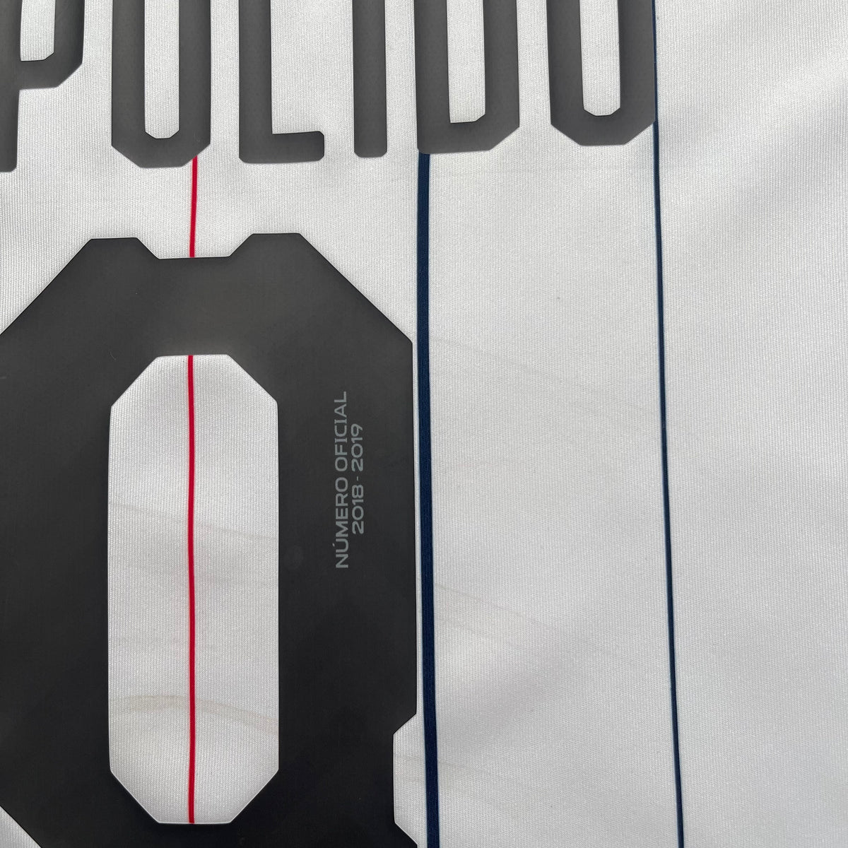 Chivas de Guadalajara 2018/19 away x Alan Pulido #9 (L)