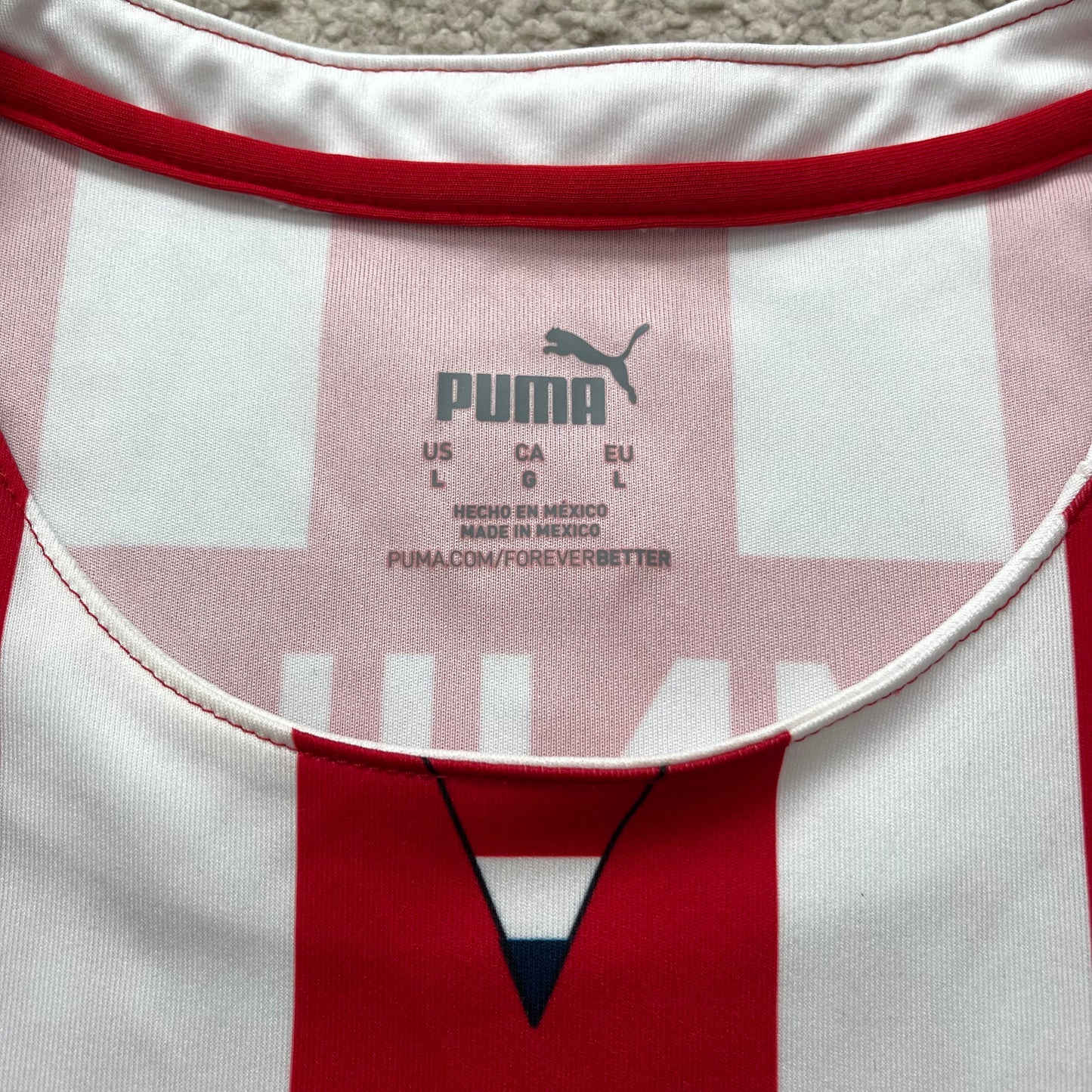 Chivas de Guadalajara 2021/22 home (L)
