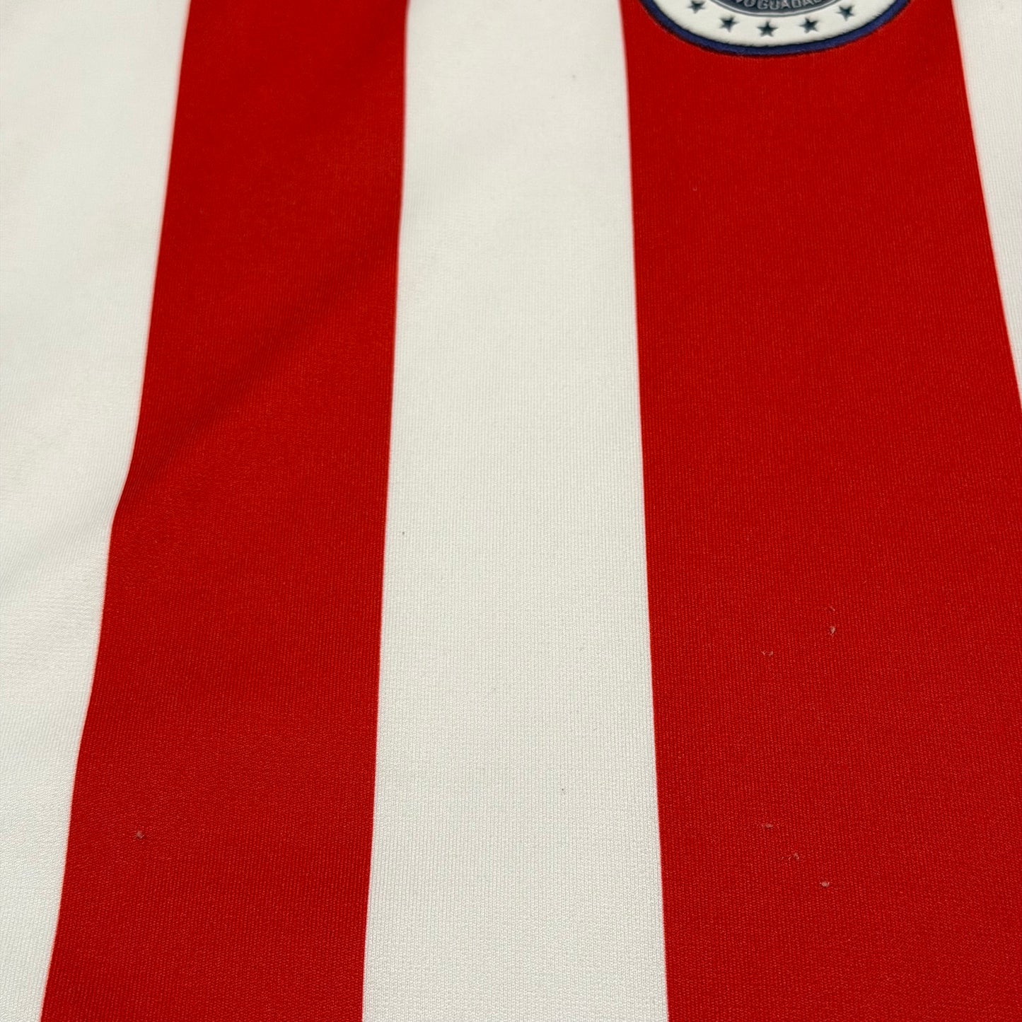 Chivas de Guadalajara 2005/06 home x Bofo Bautista #100 (L)