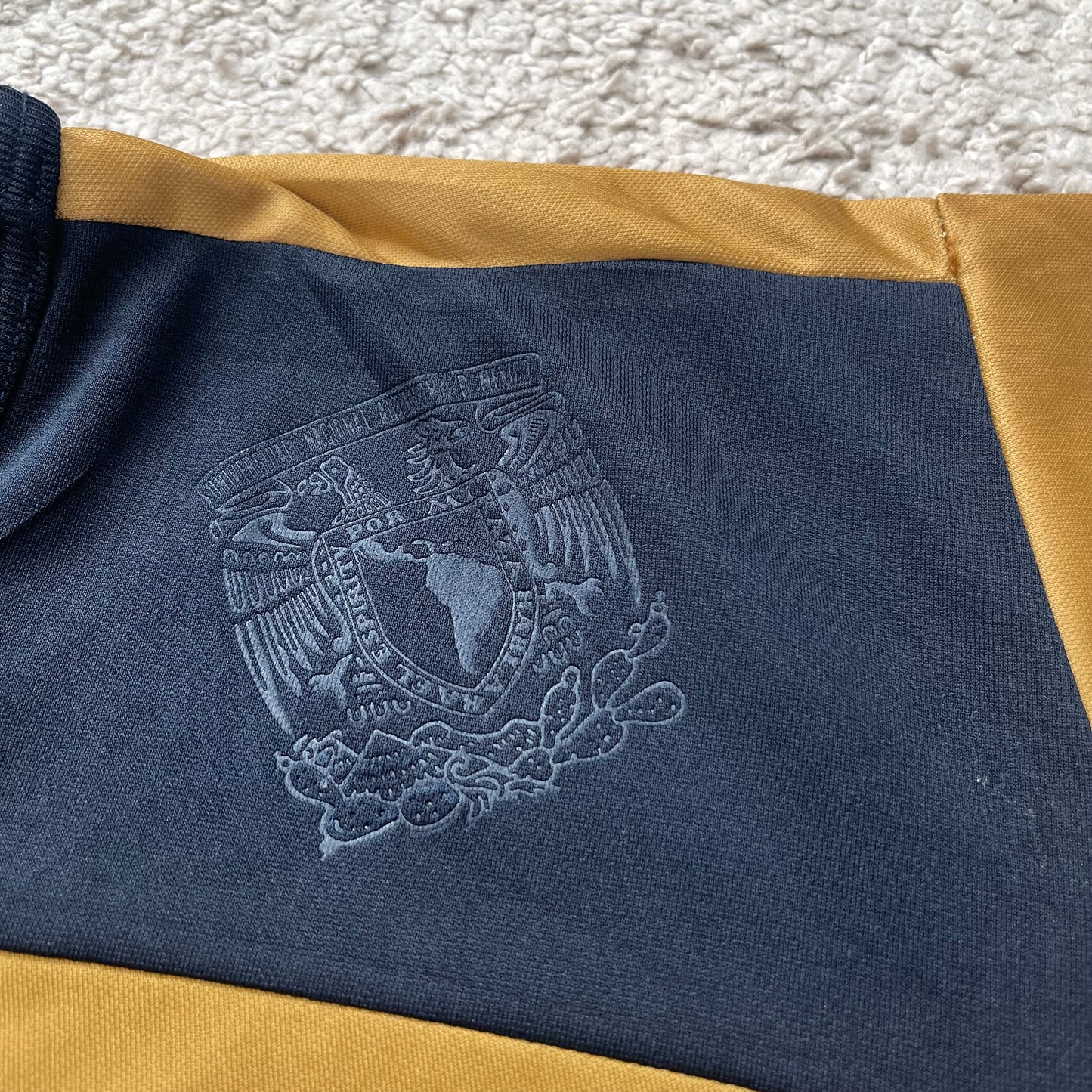 Pumas UNAM 2012/13 home (M)