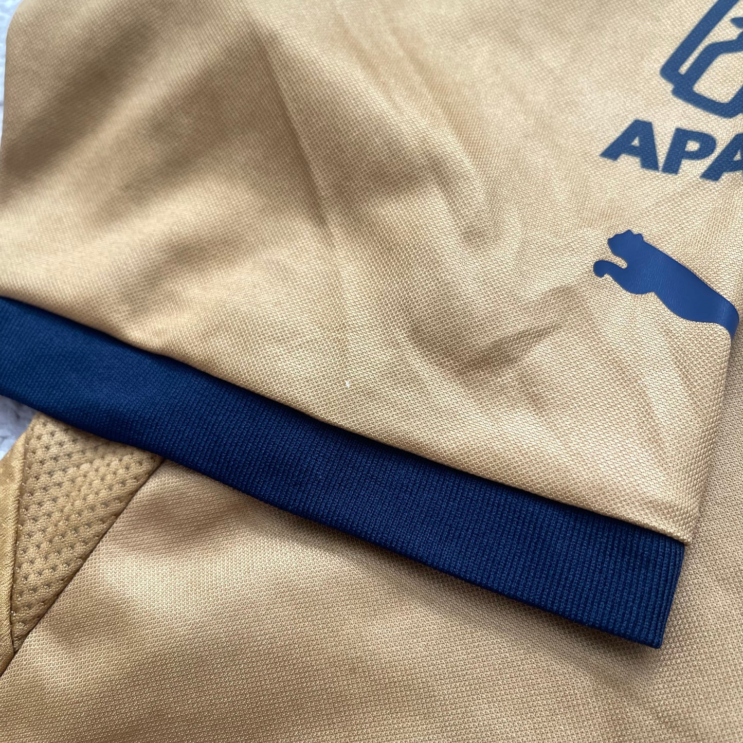 Pumas UNAM 2012/13 home (M)
