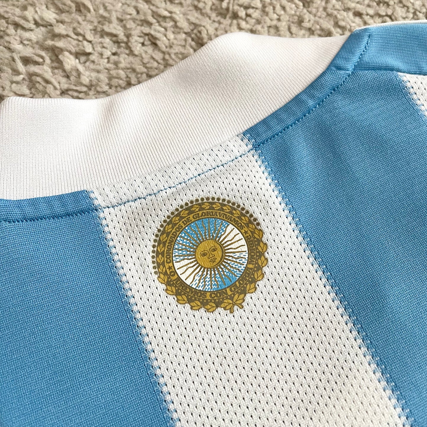 Argentina 2010 World Cup home x Messi #10 (M)